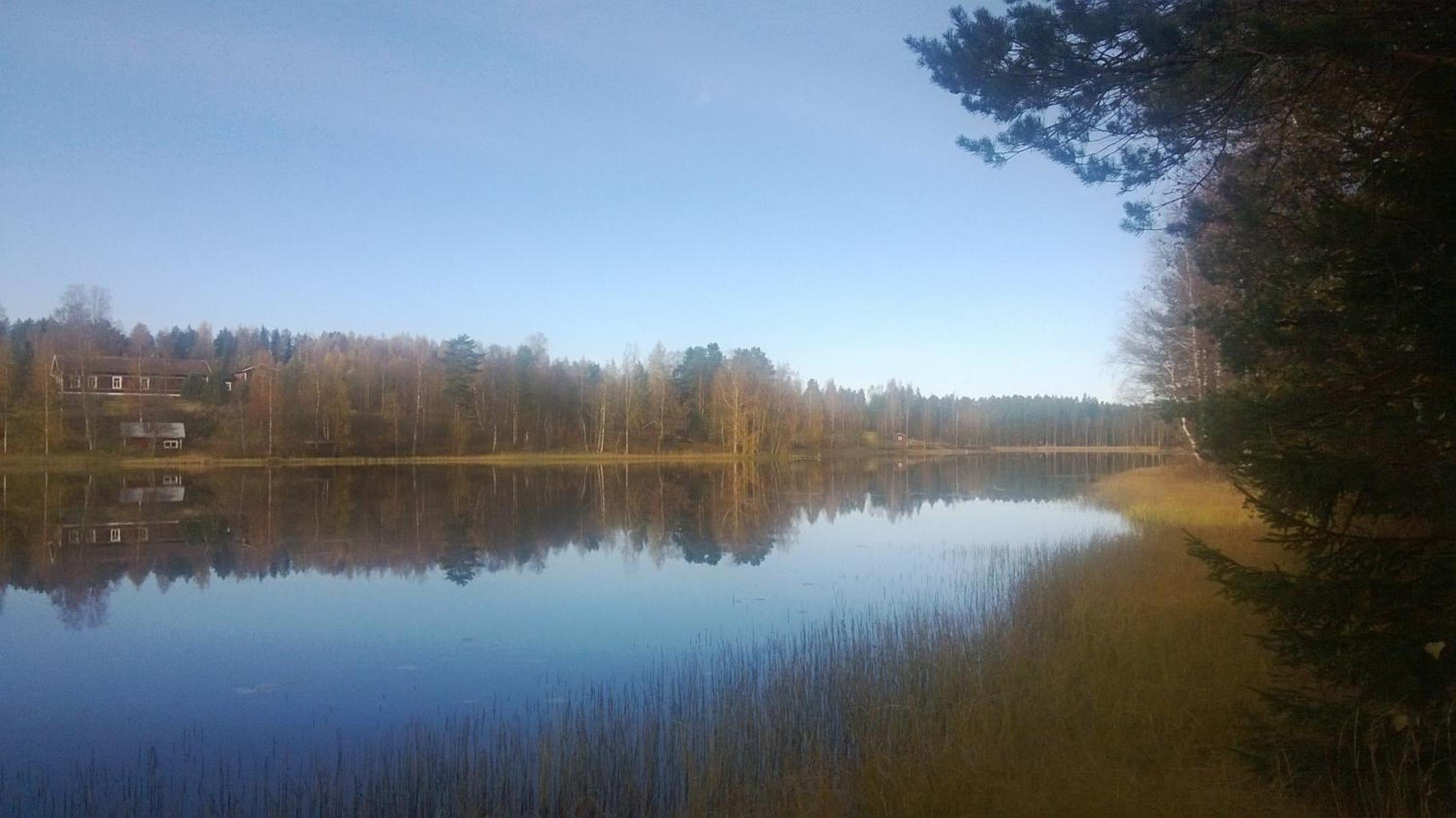 Photo 42