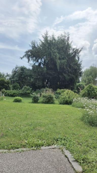 Villa Hohenheim - Apartment am Stadtpark