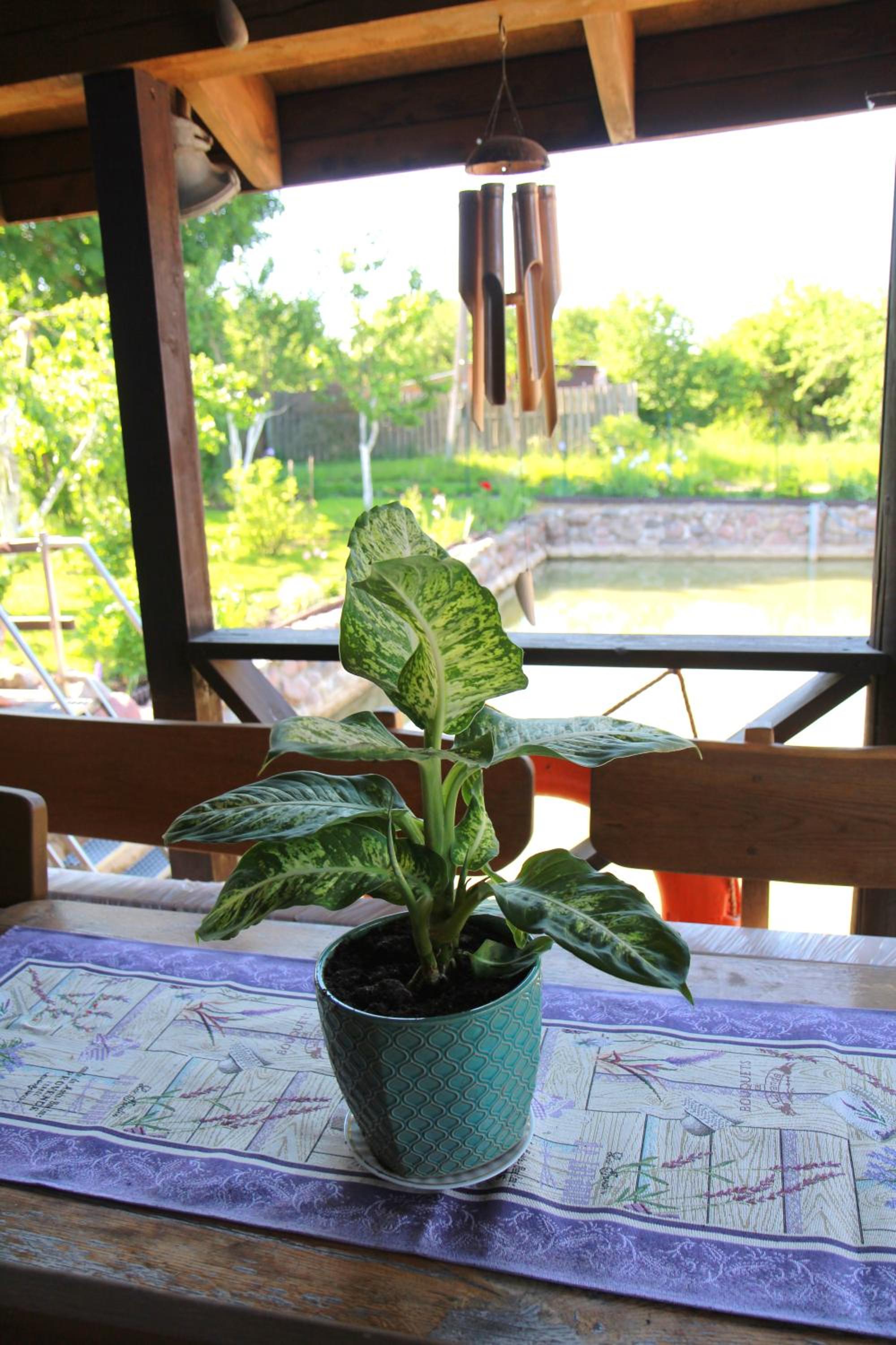 Photo 10