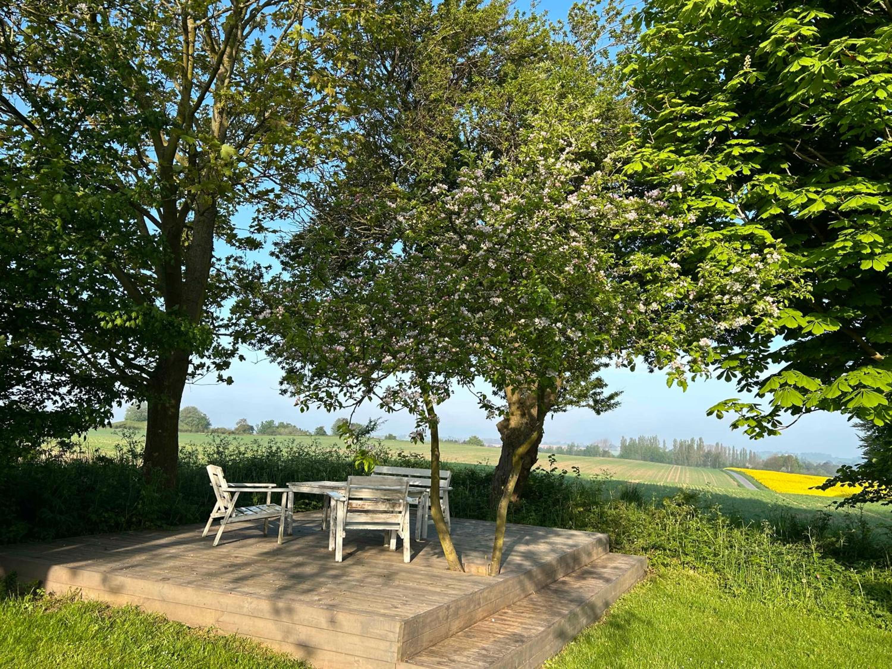 Your Charming Summer Cottage