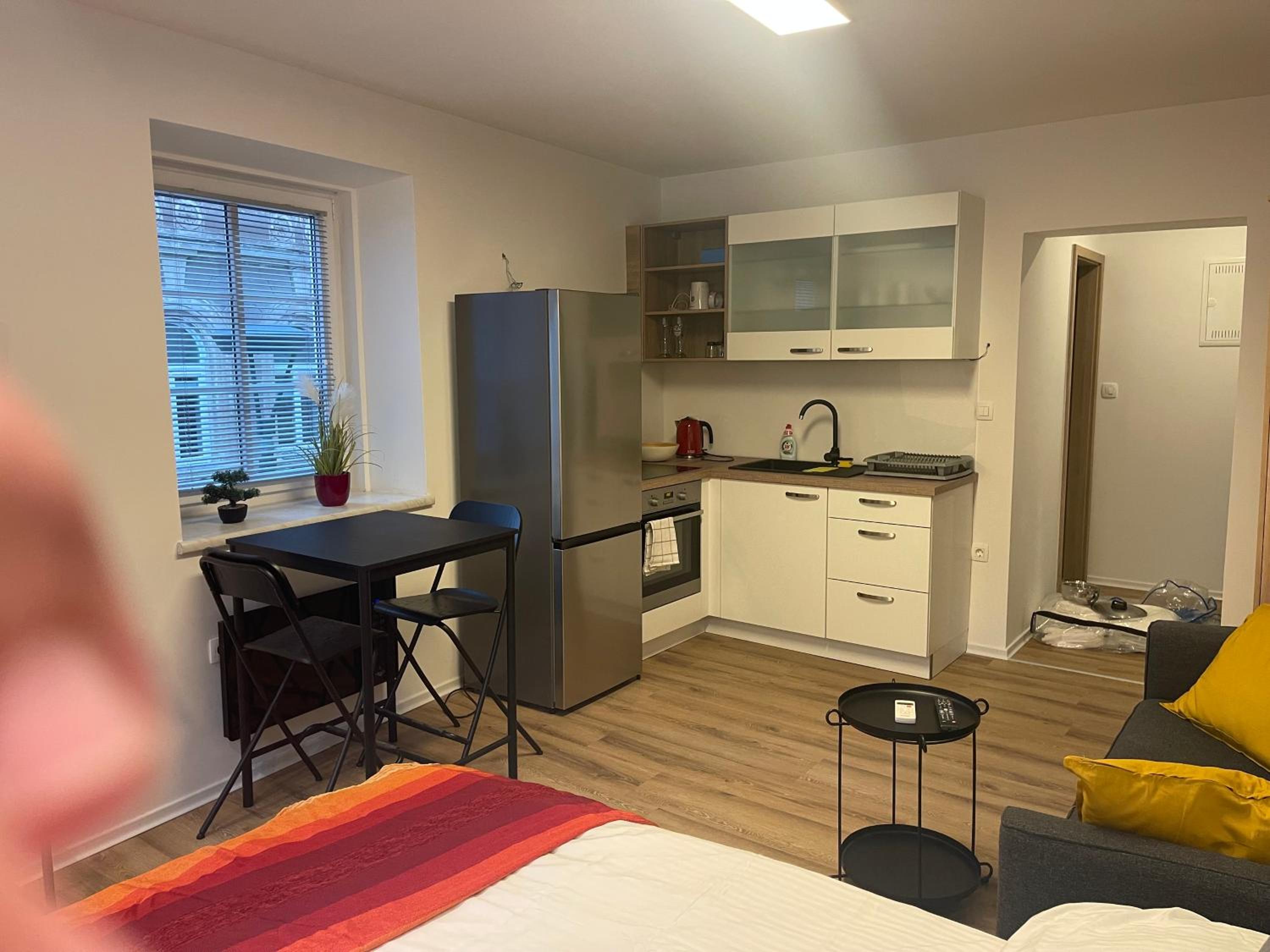 Celje Luxury Apartment view 3