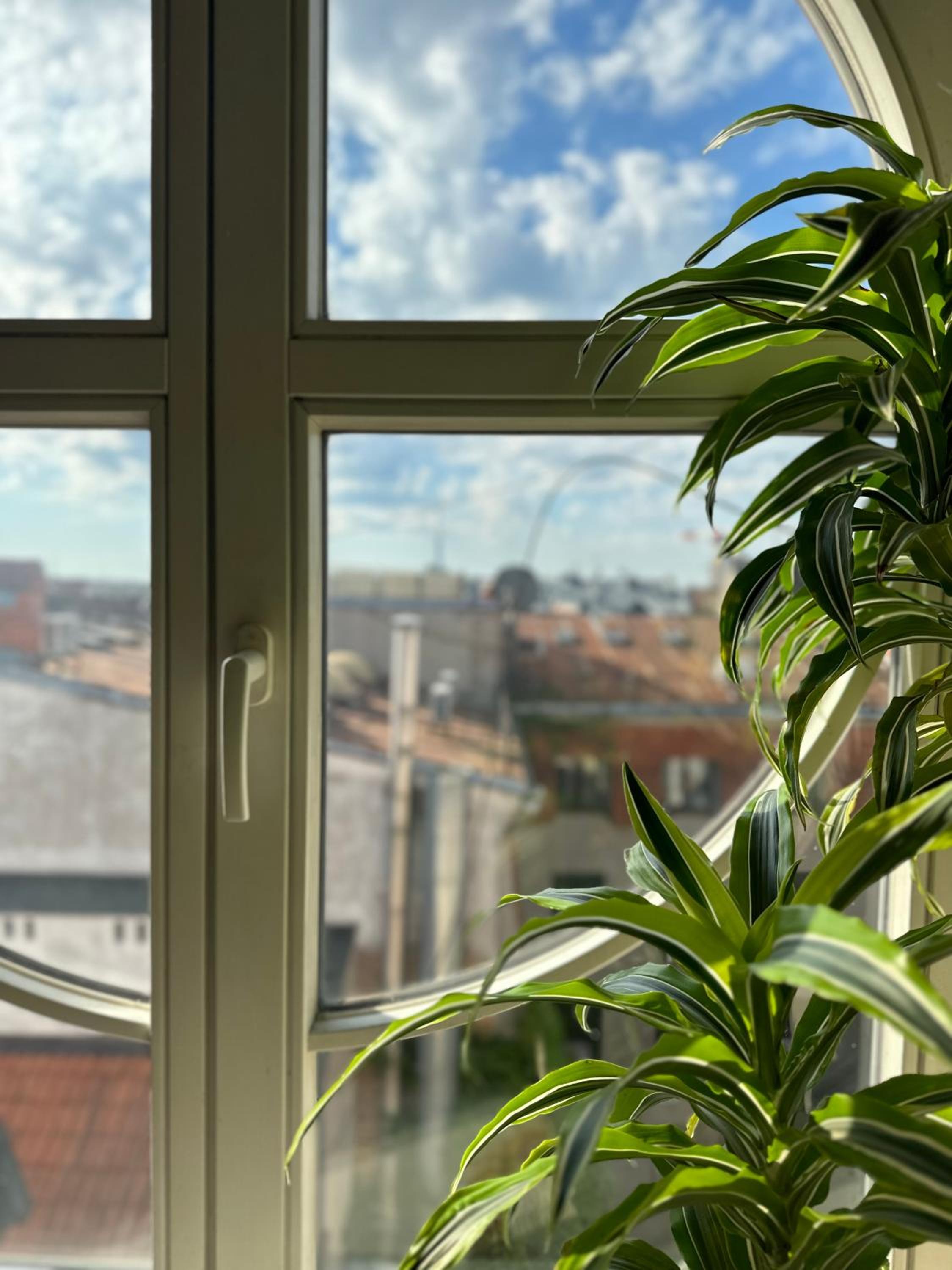 Old Town Apartment with Sauna view 5