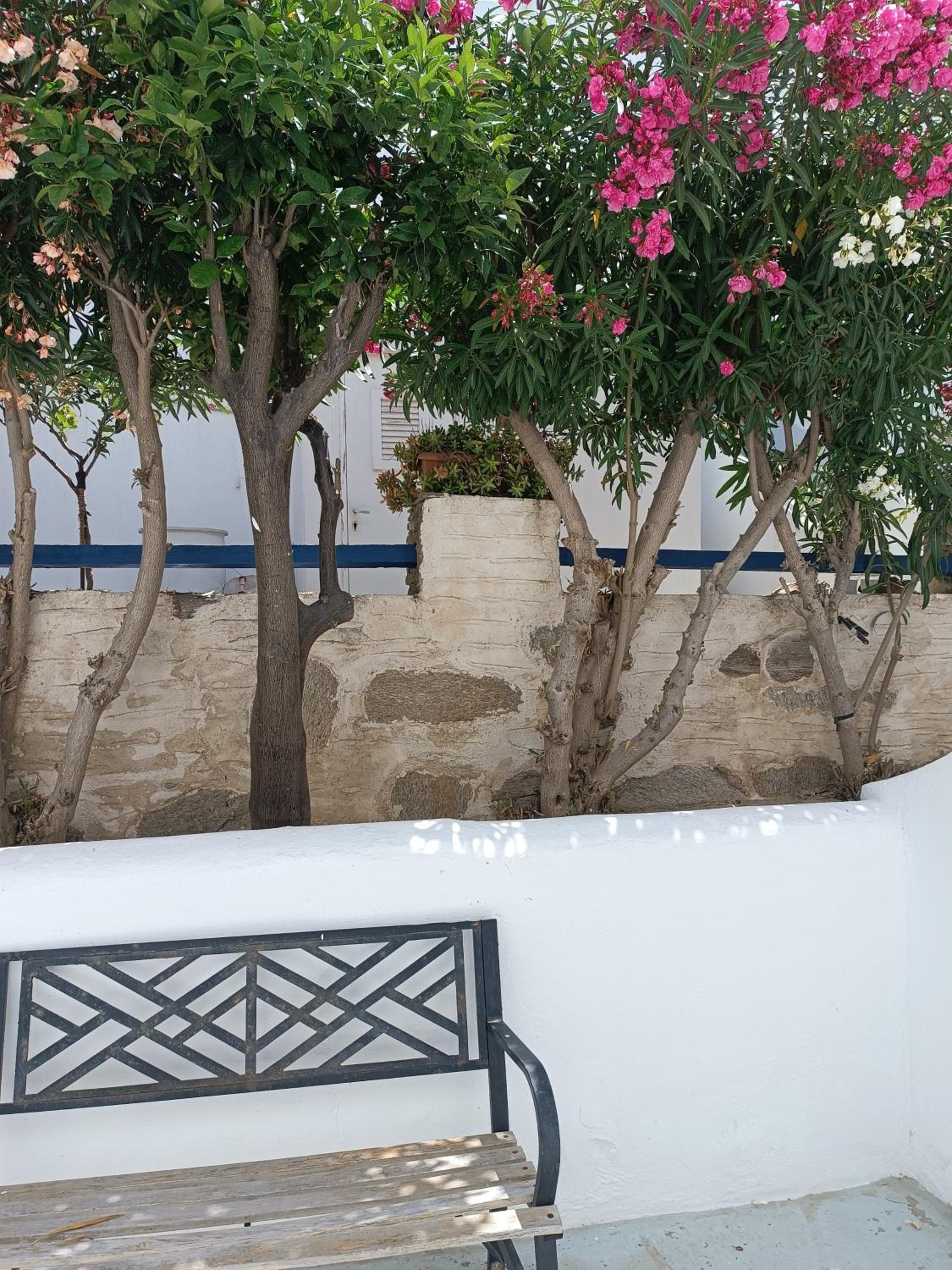 Livadia Beach Hostel