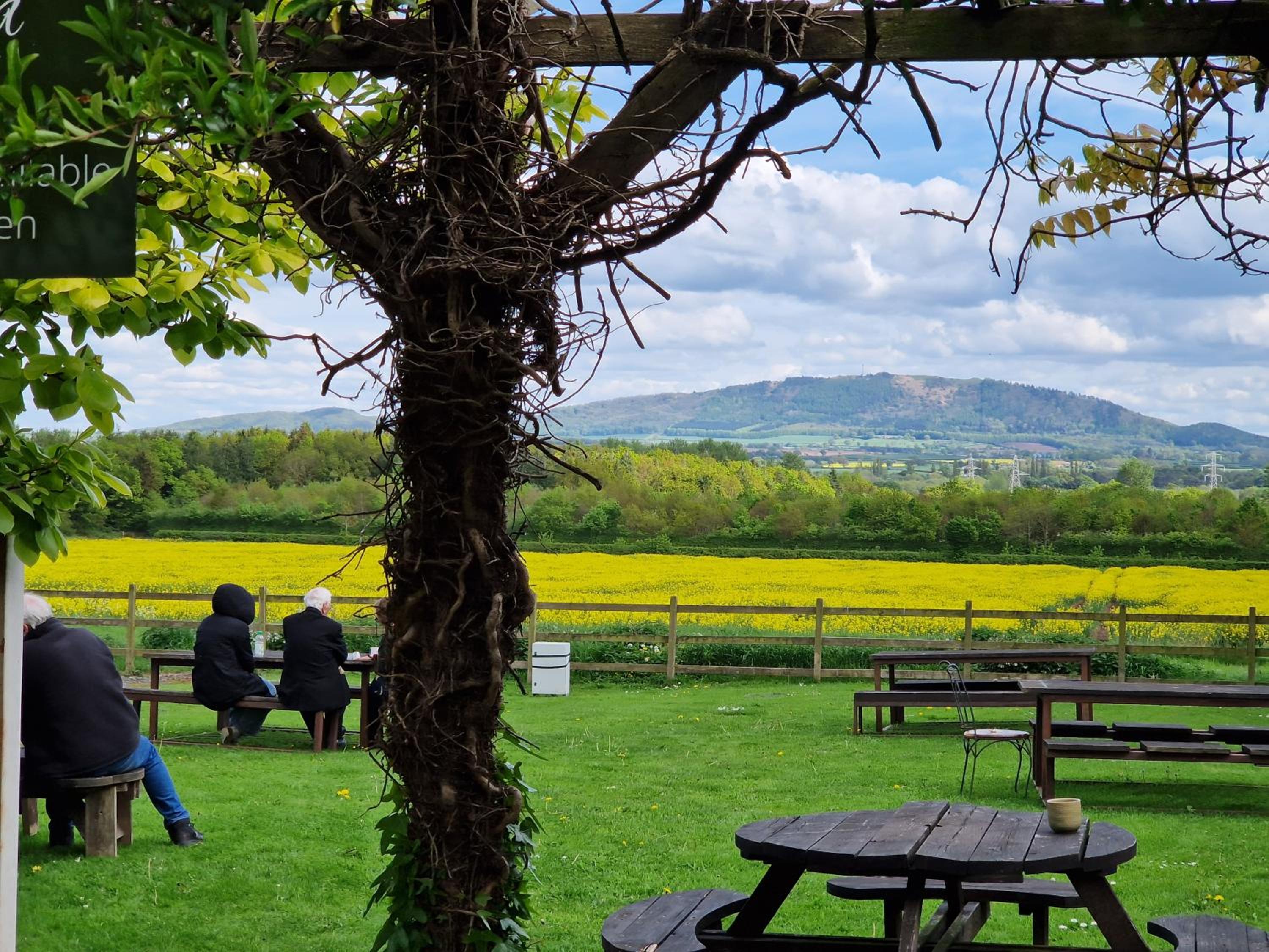 The Haughmond