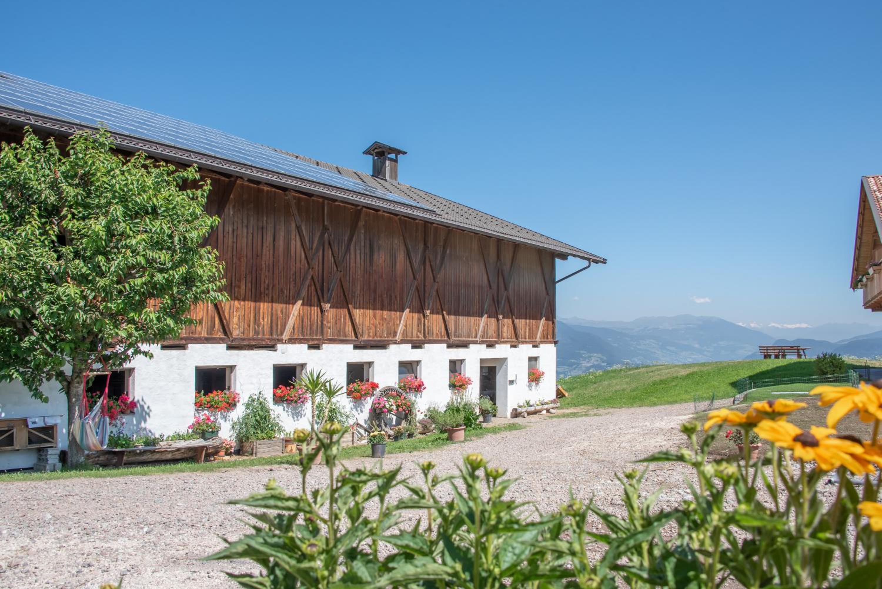 Furnerhof Apt Olpenglühn