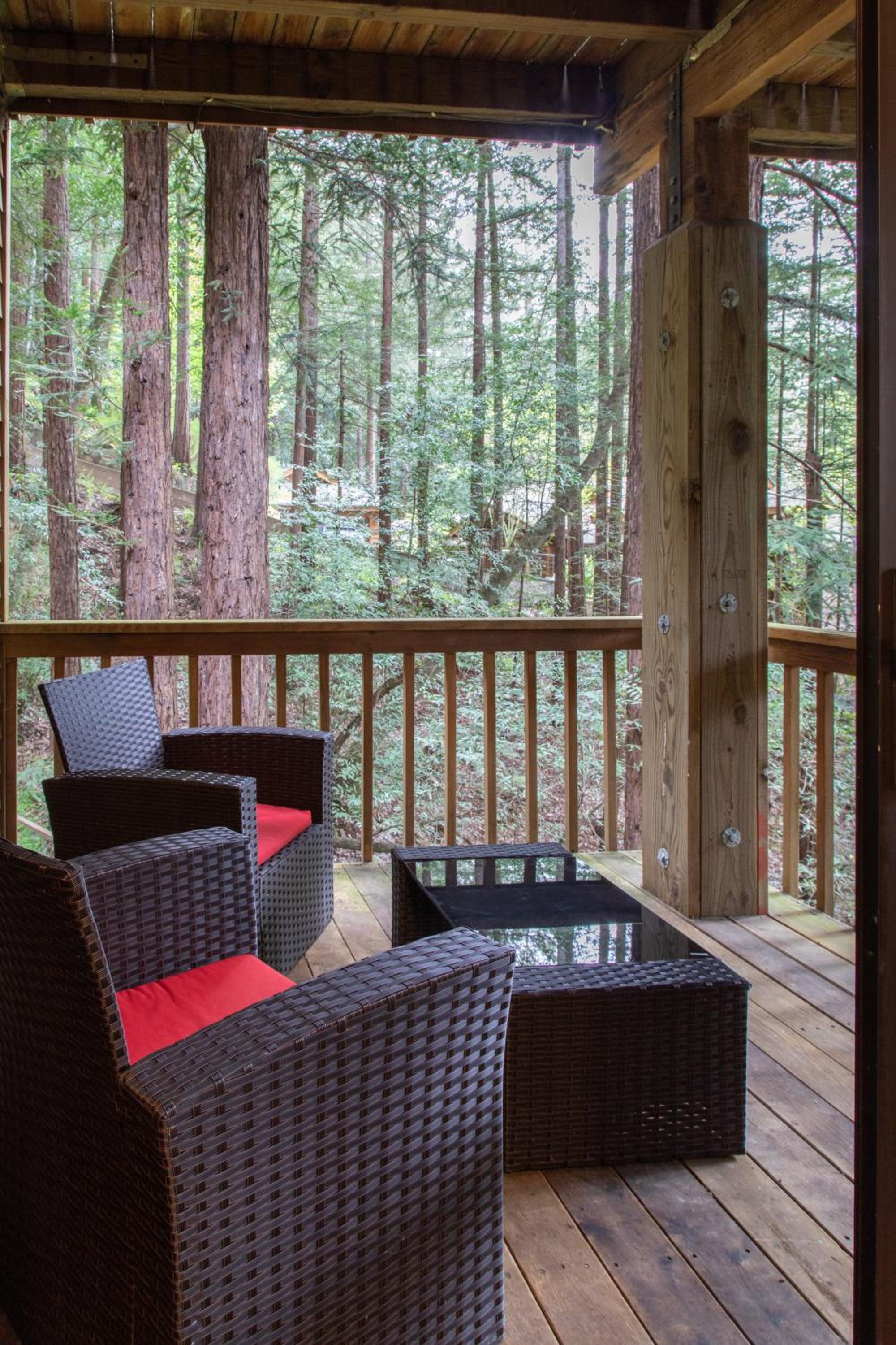 Woodland Retreat
