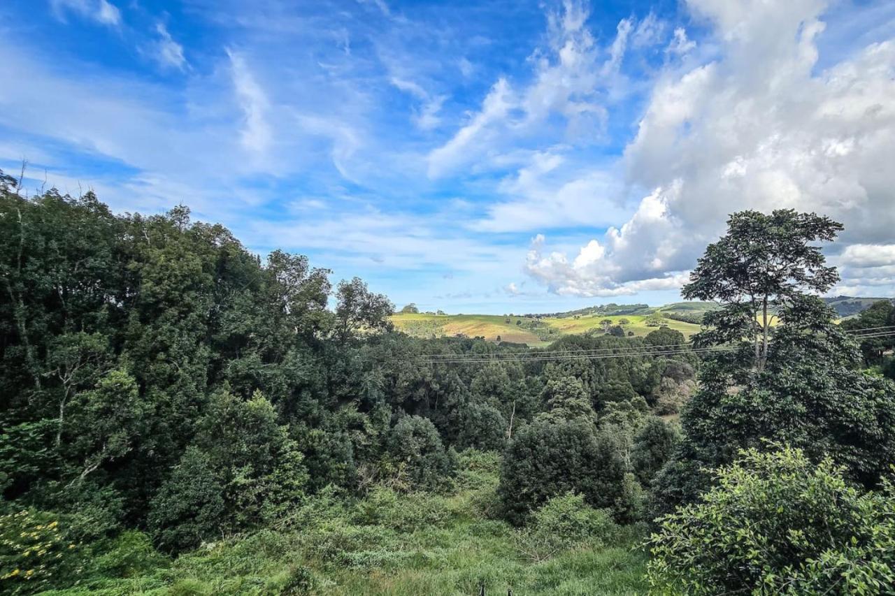 Byron Bay Hinterlands - Dreaming Woods Studio