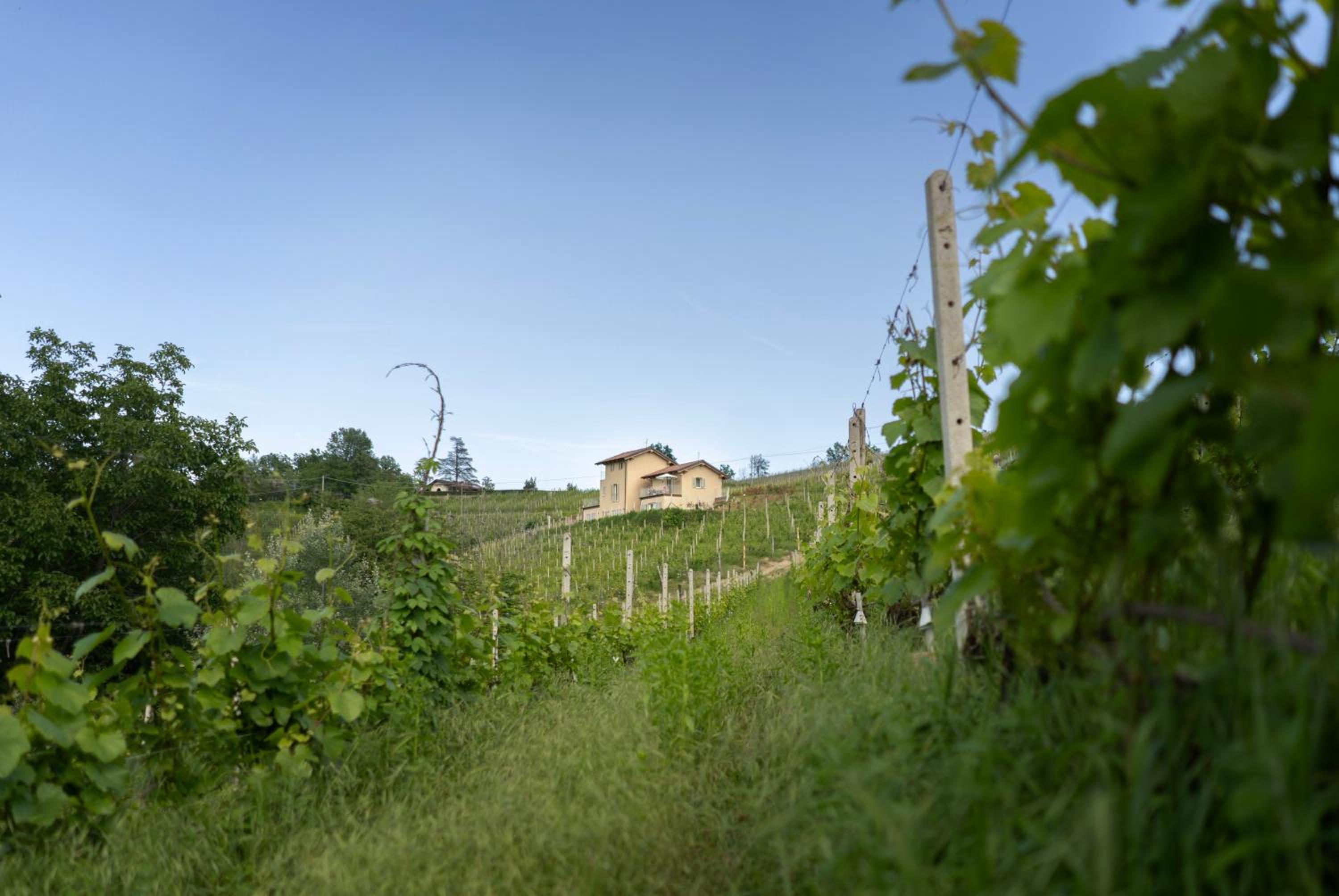 I Ciabot di Monforte view 4
