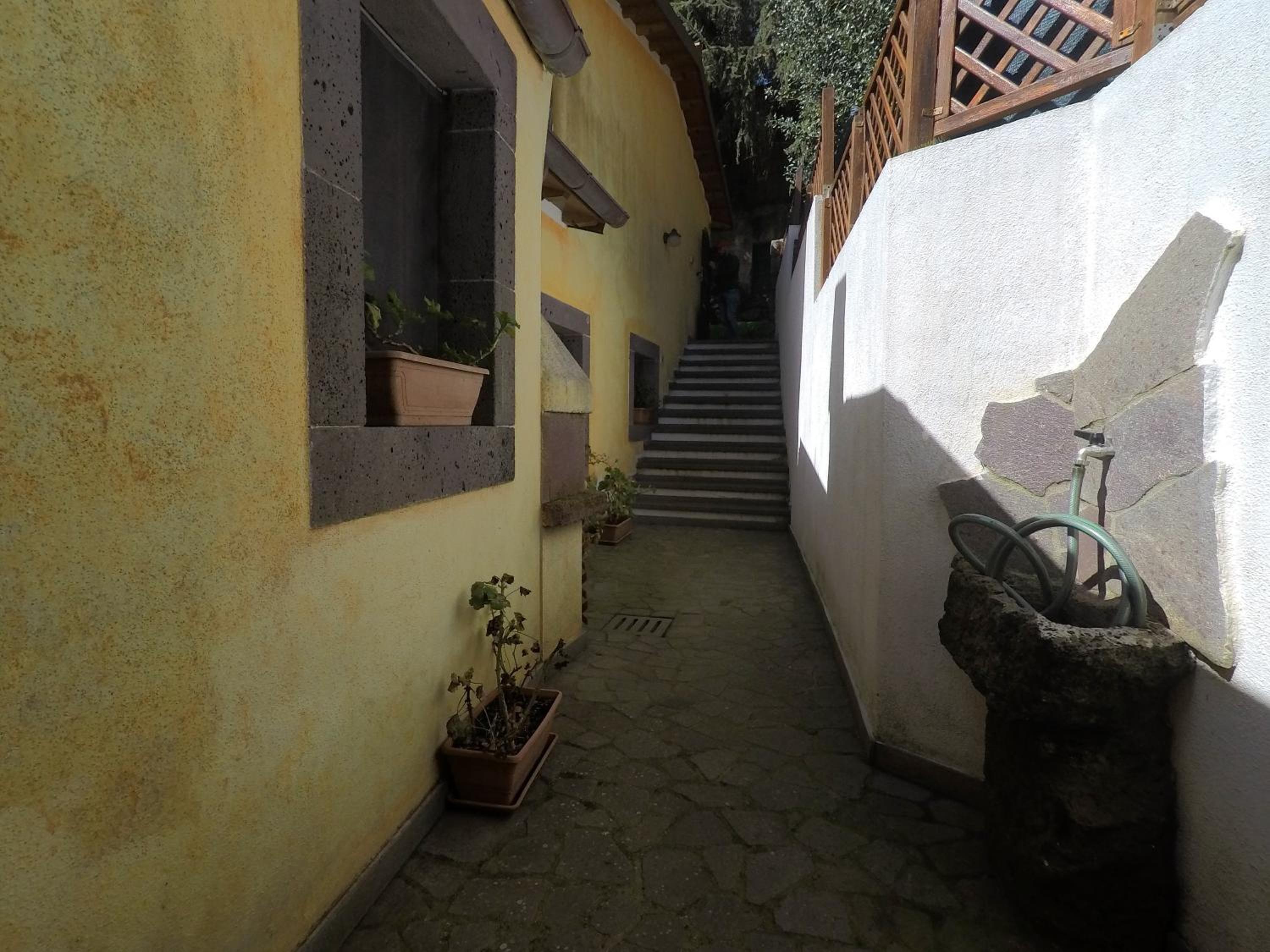 Antico Castagno