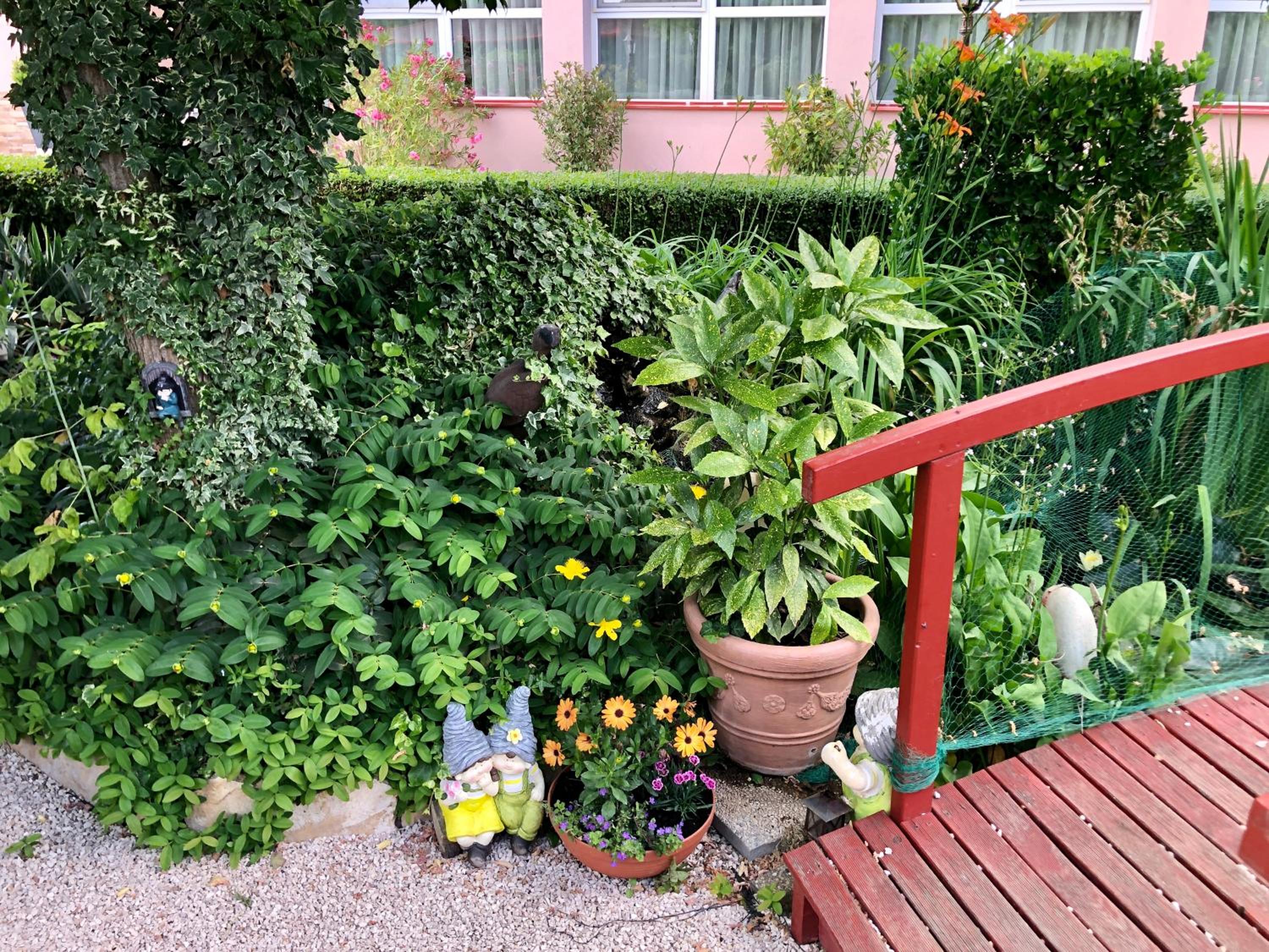 Photo 16