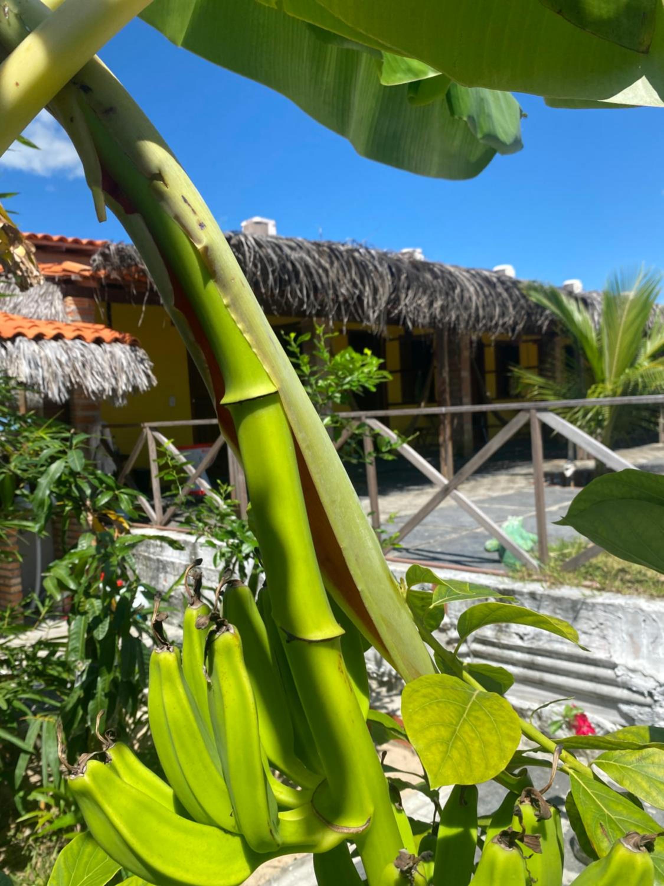 Pousada rancho sol nascente