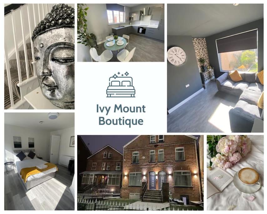 Ivy Mount Boutique view 4