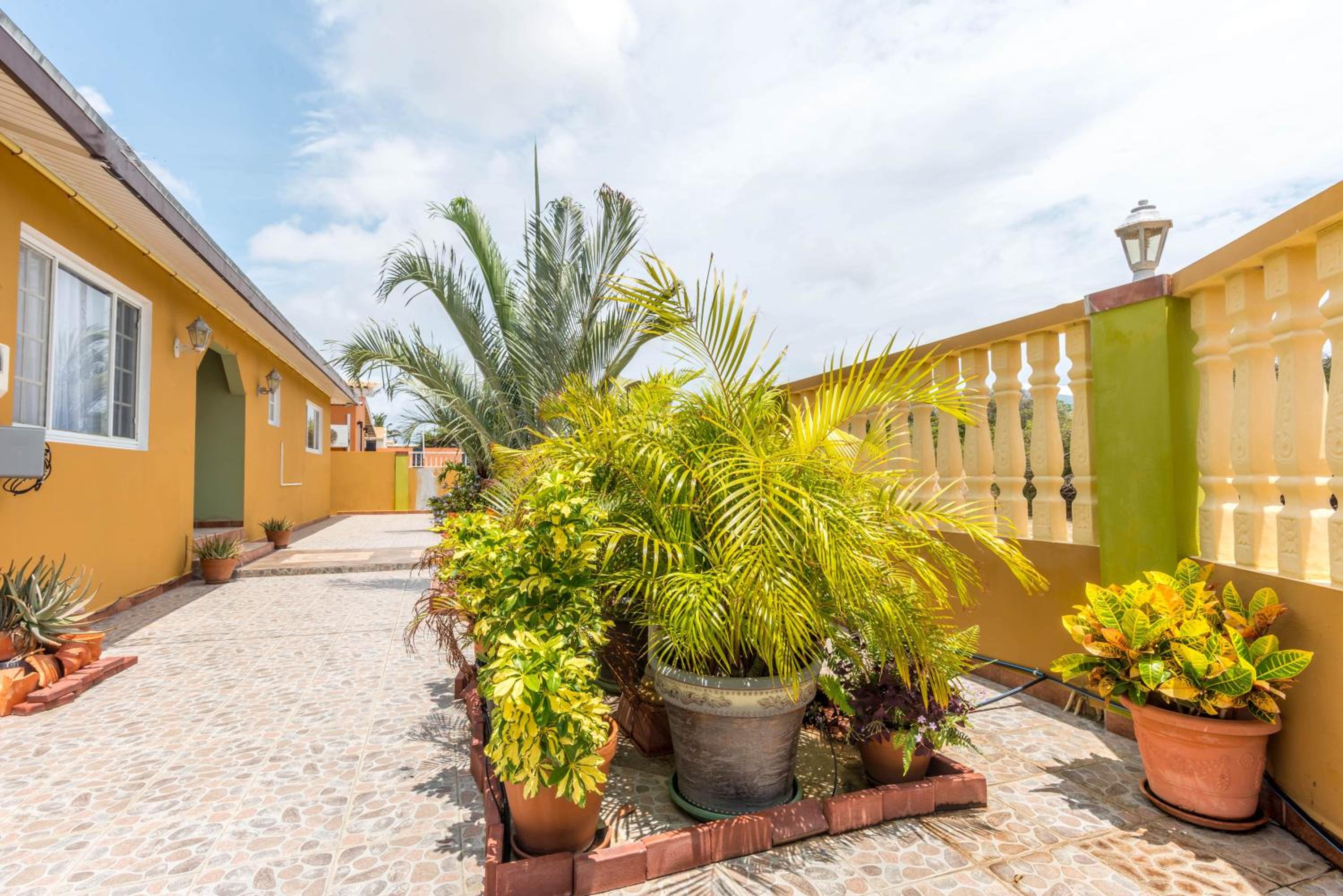Cadushi Cove 4br Aruban Oasis Wpool & Bbq