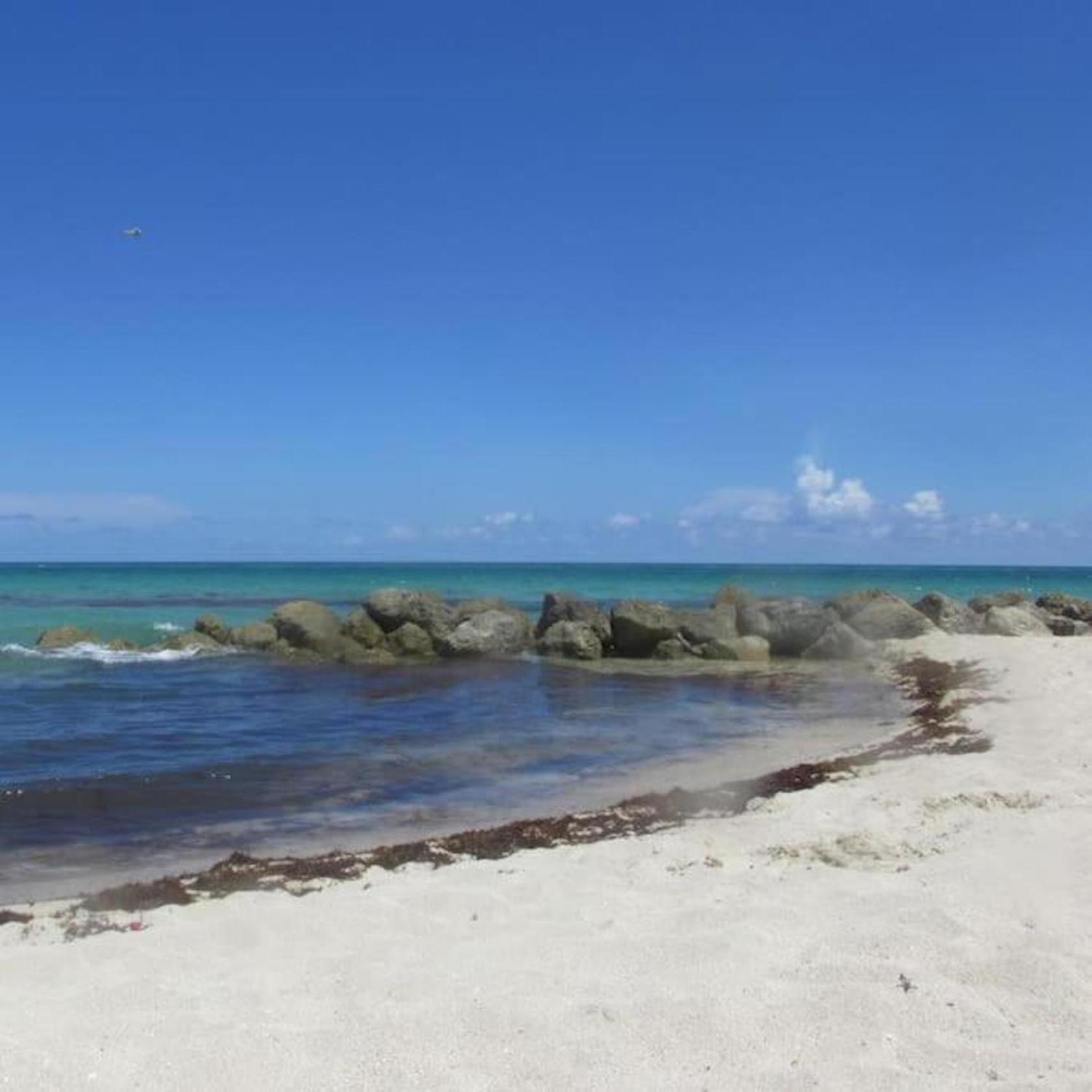 Ocean Breeze Studio With Parking By The Beach