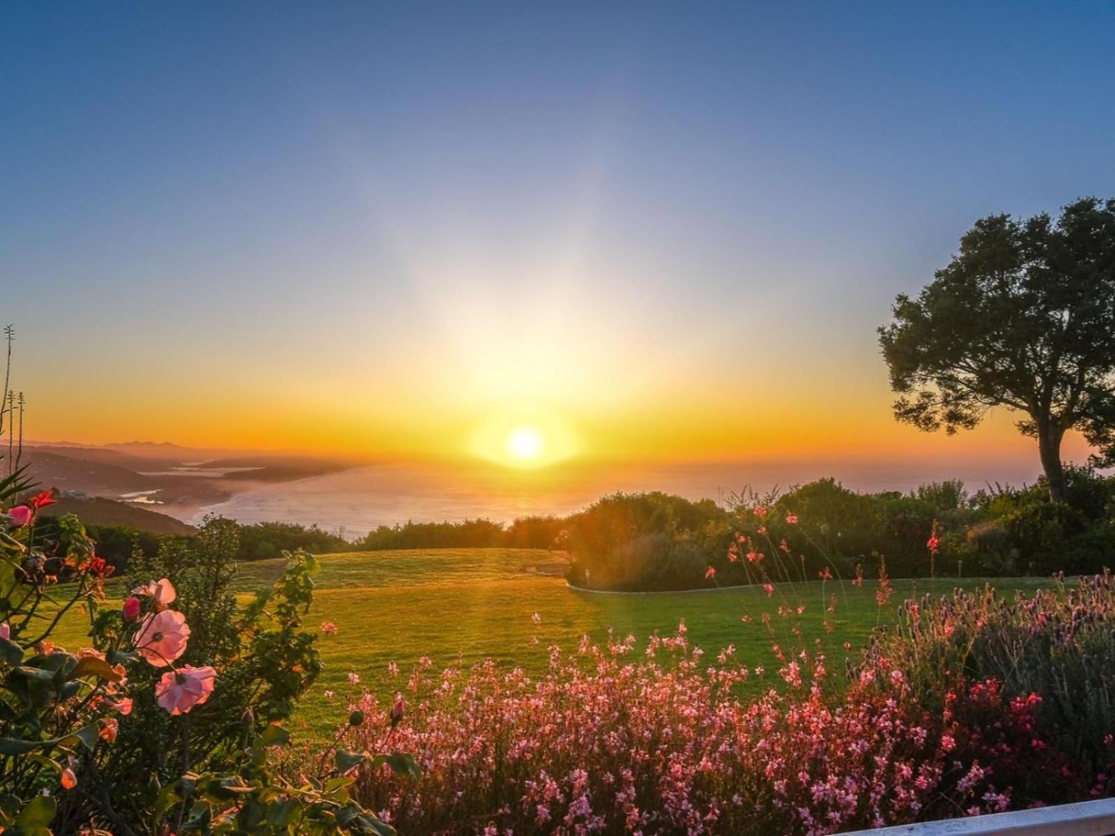 Hilltop Boutique Hotel