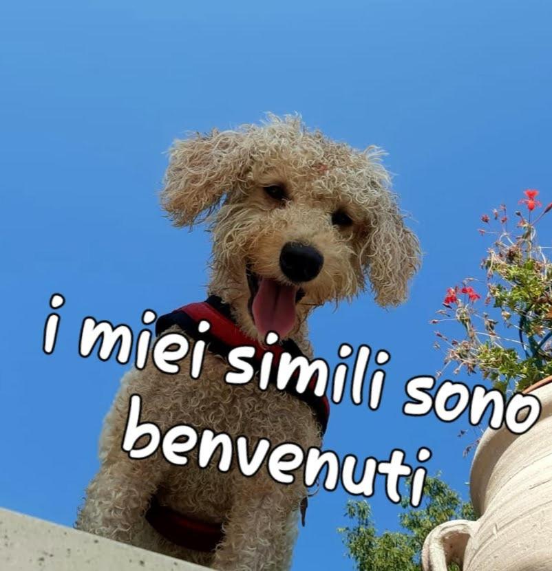 La Fornace