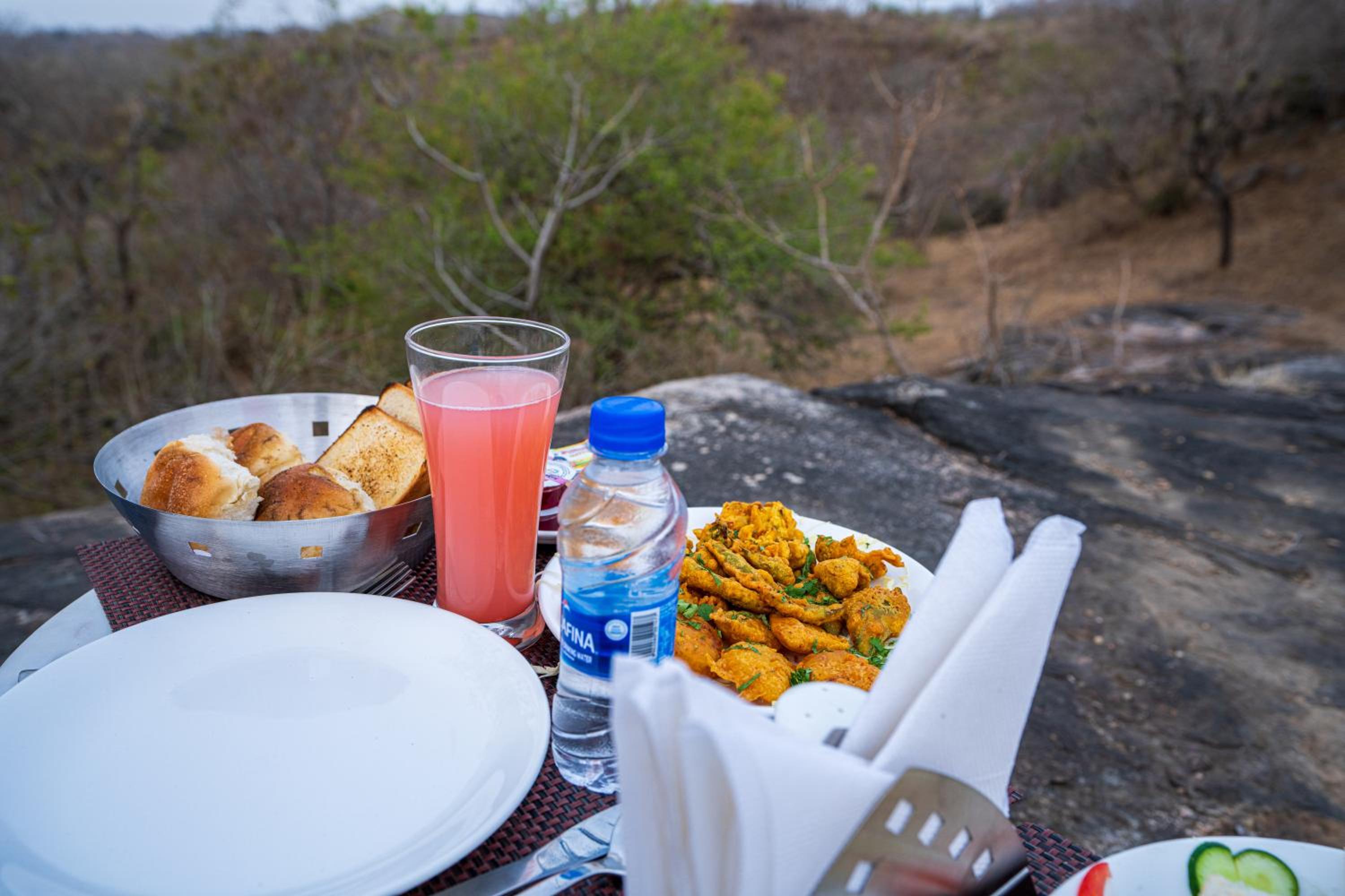 Maanvilla Resort Kumbhalgrah