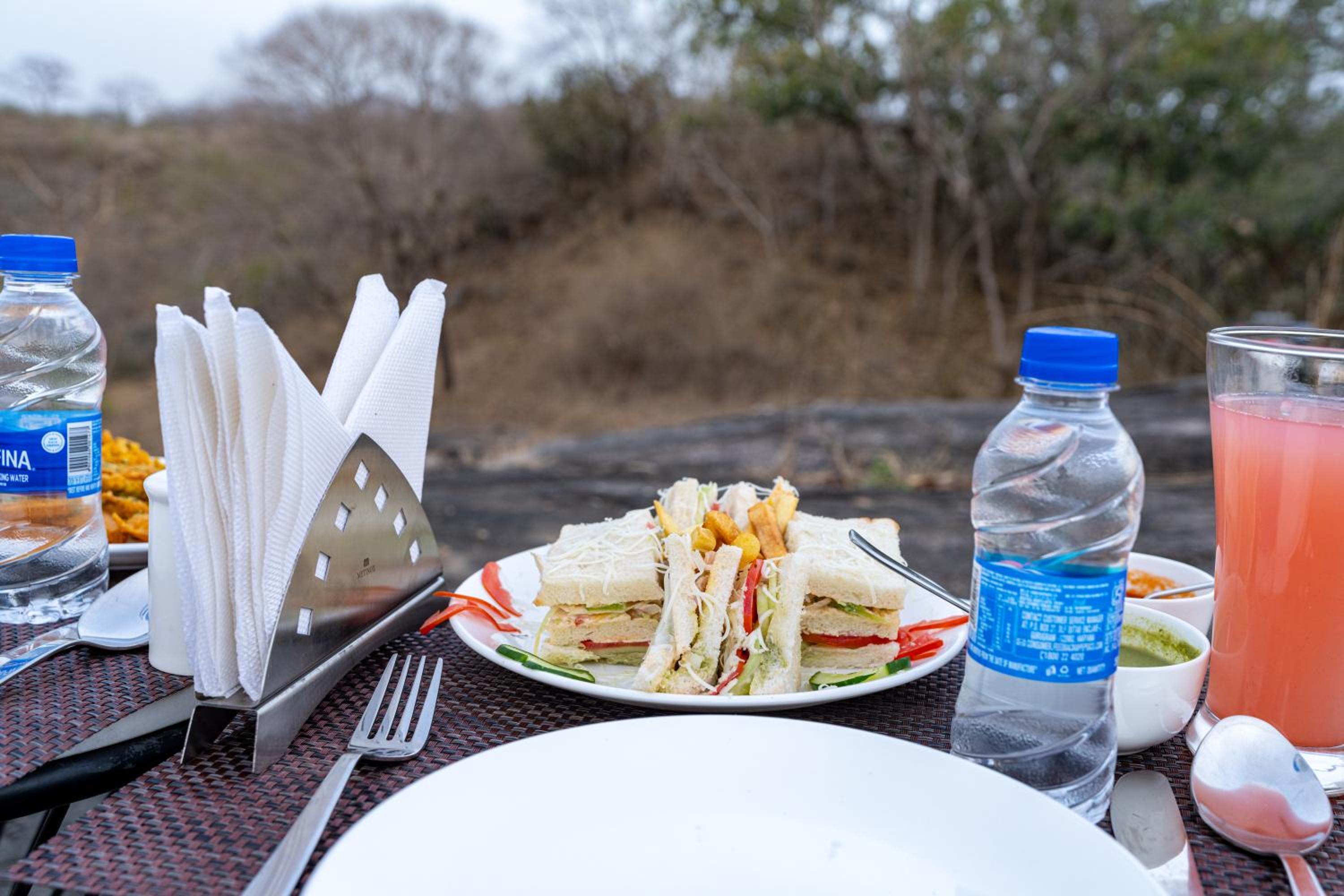 Maanvilla Resort Kumbhalgrah