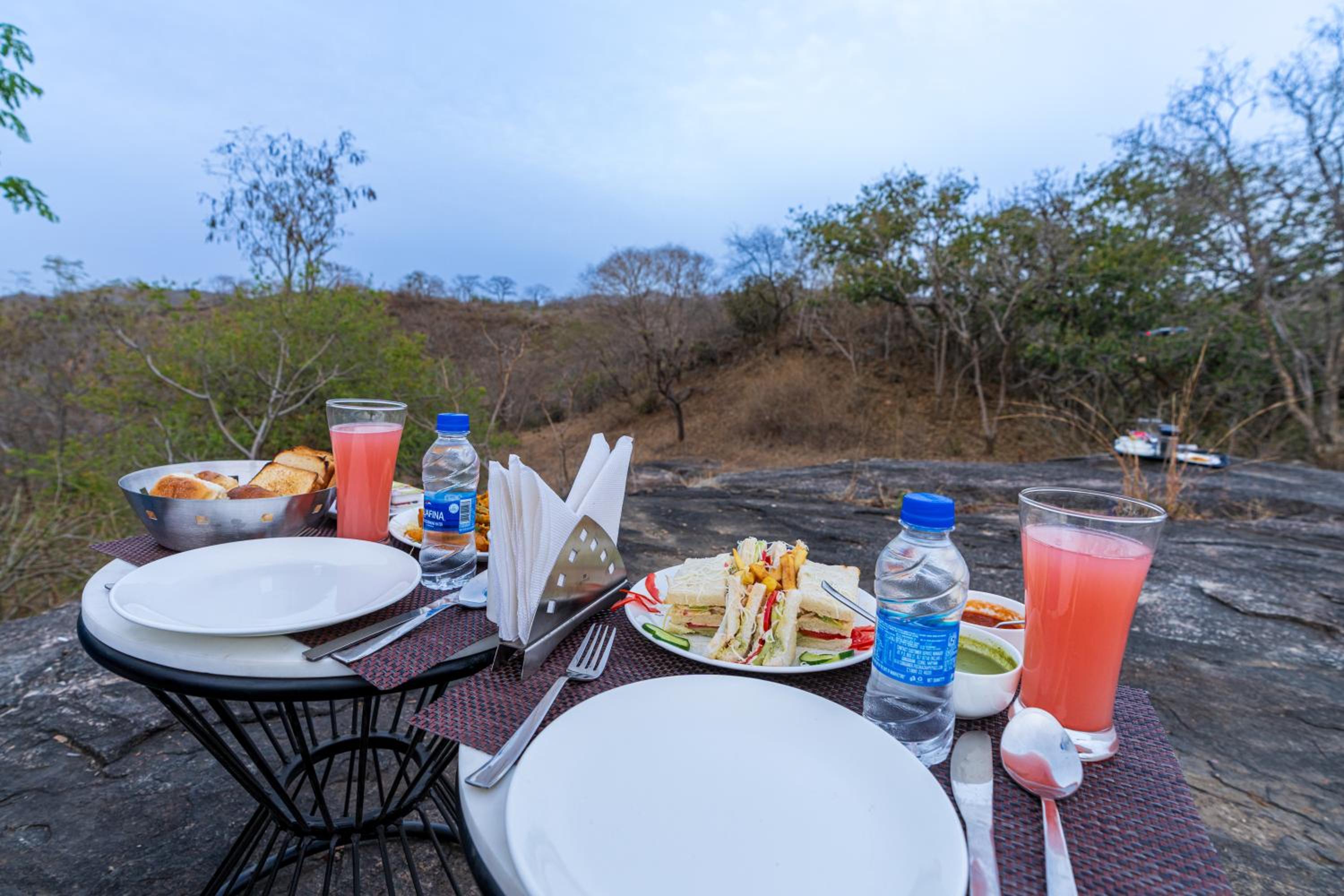 Maanvilla Resort Kumbhalgrah
