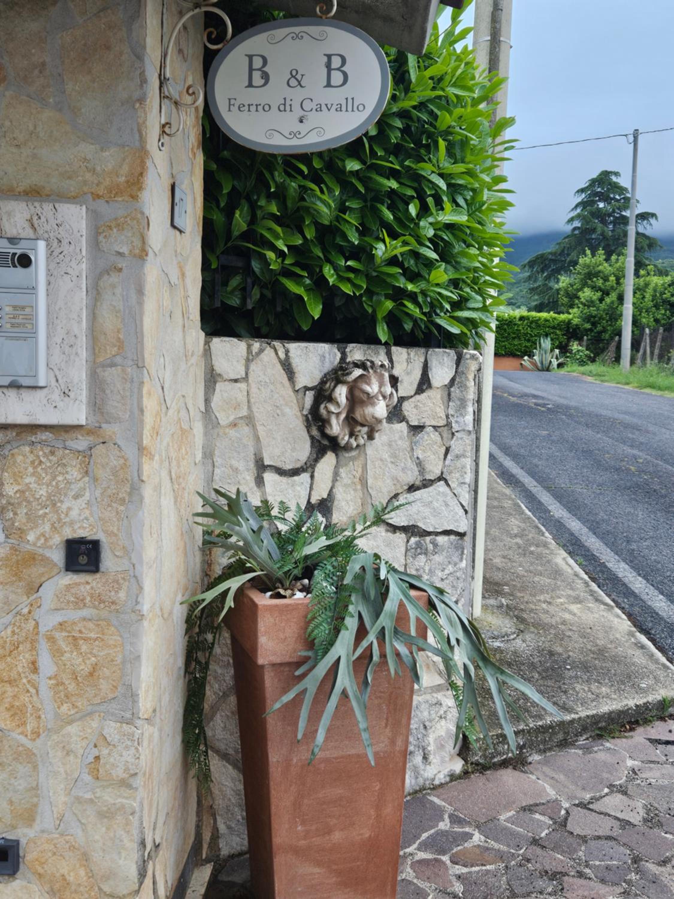 B&B Ferro di Cavallo view 3