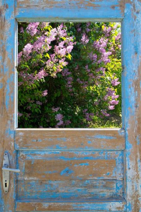 Tulipános Porta