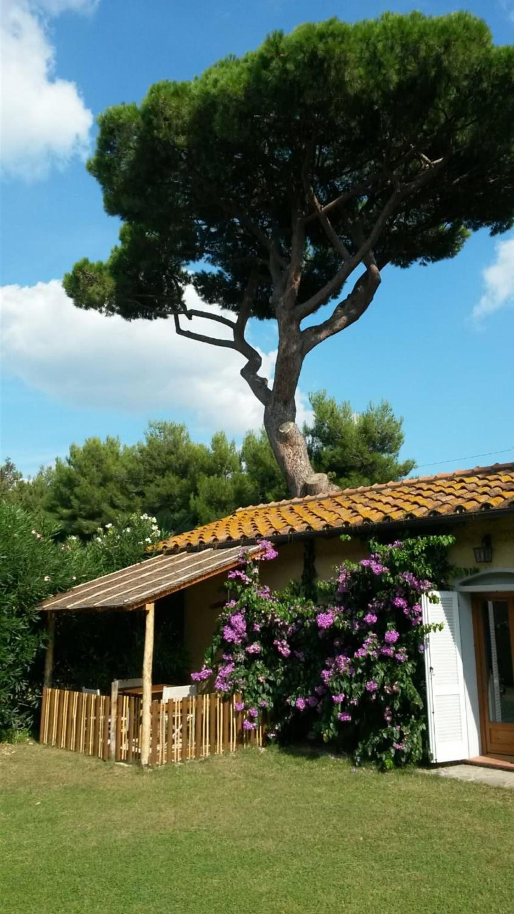 I Cavalleggeri