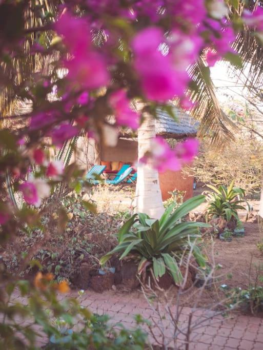 villa terranga view 5