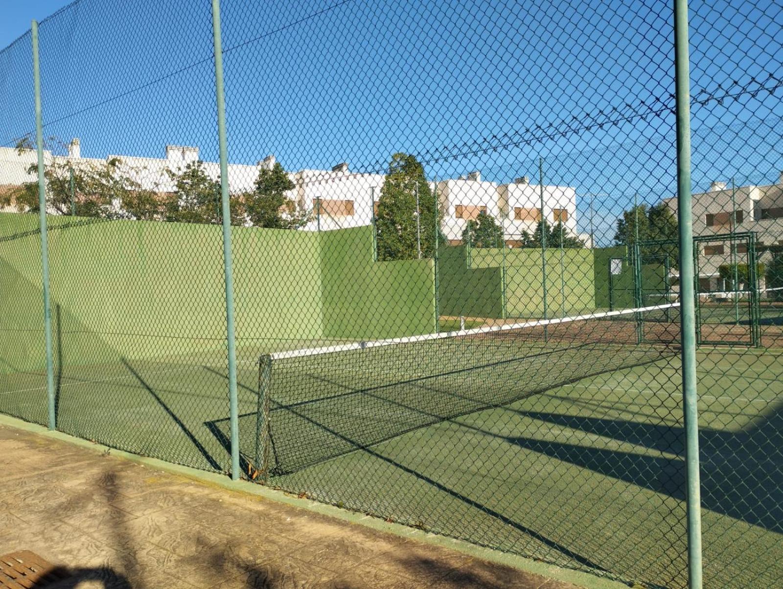 Photo 46