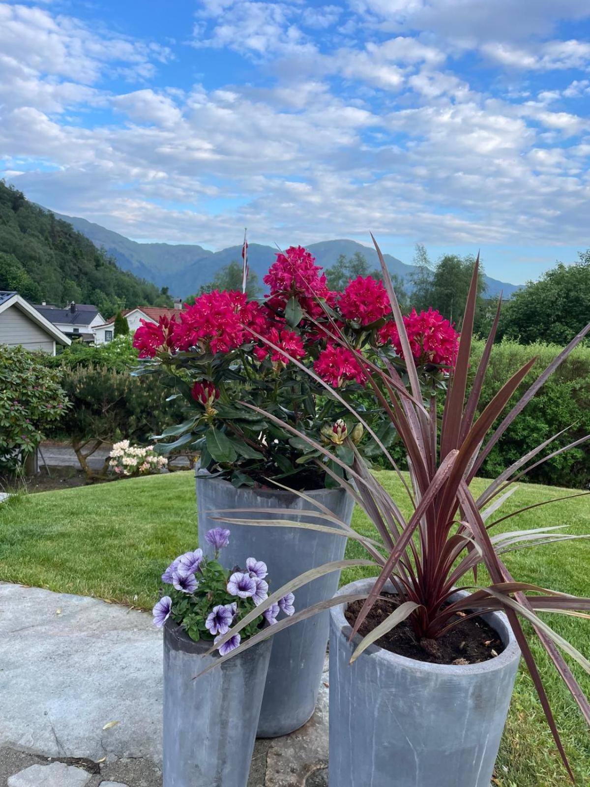 other