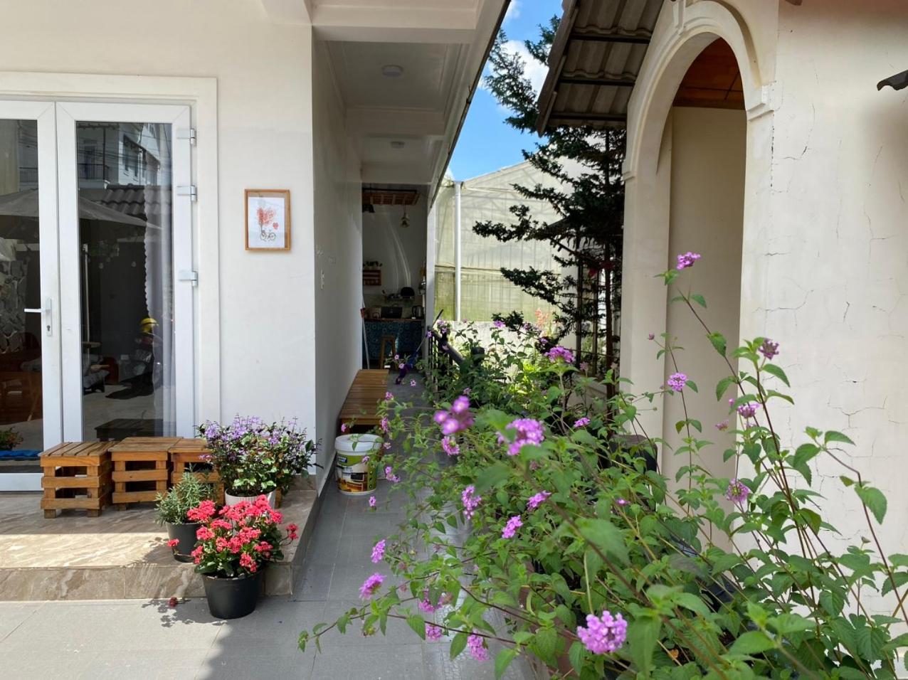 Photo 31
