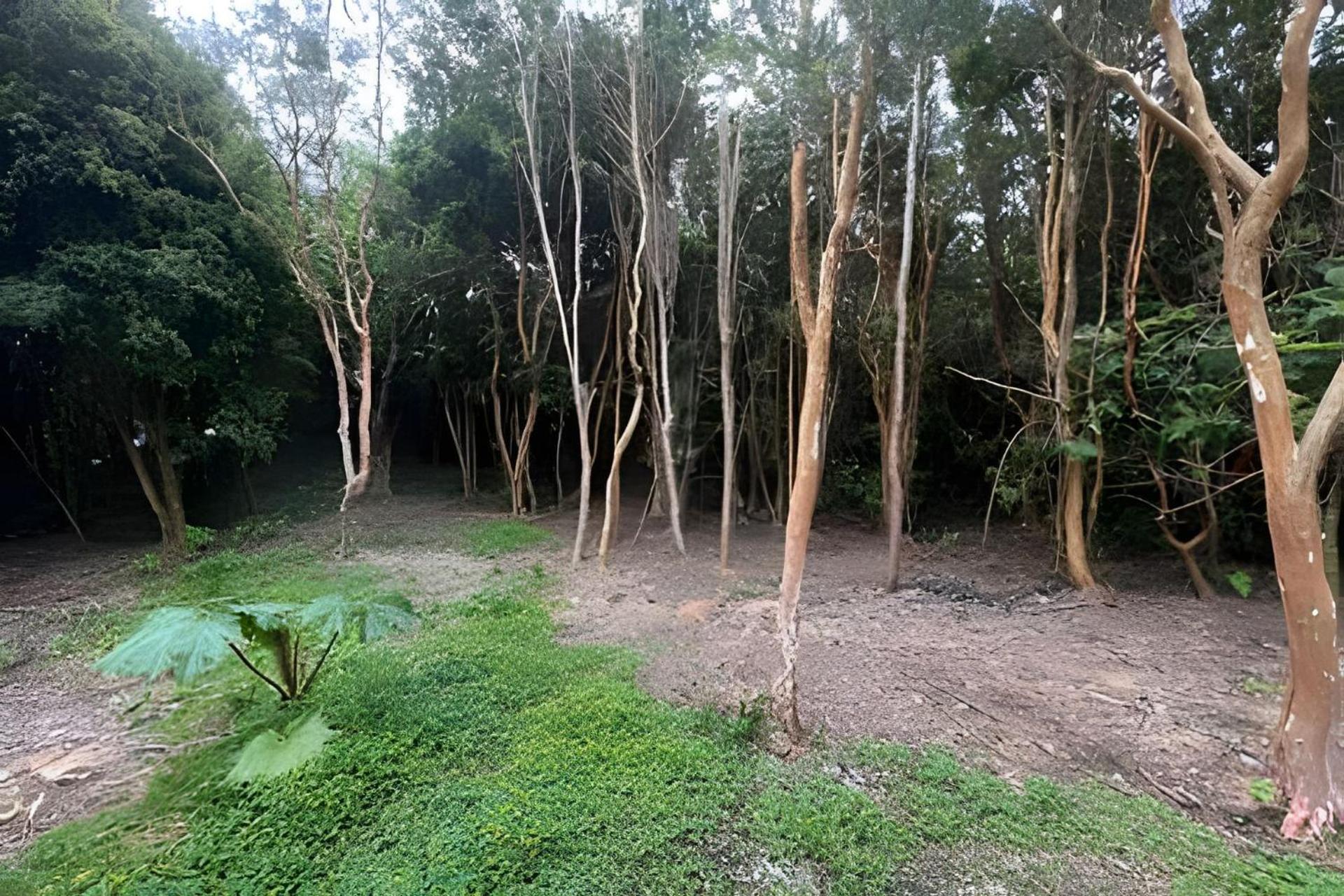 Cabaña para 5 Pichiquillaipe
