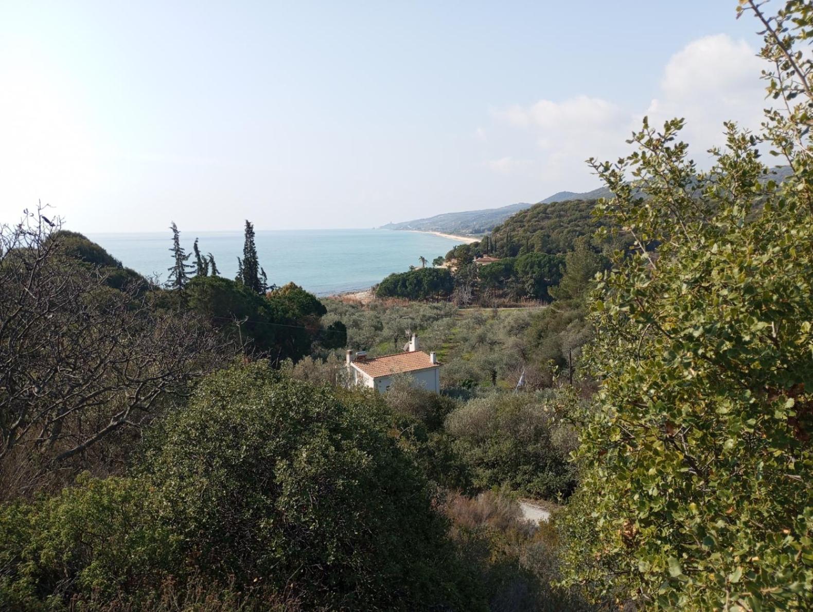Photo 42