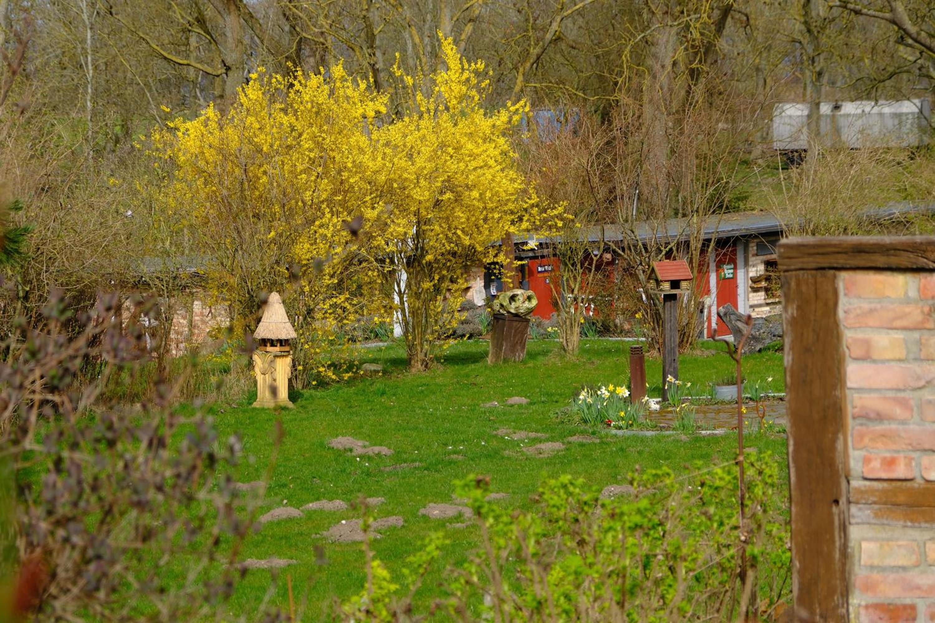 Kunsthof Salsitz