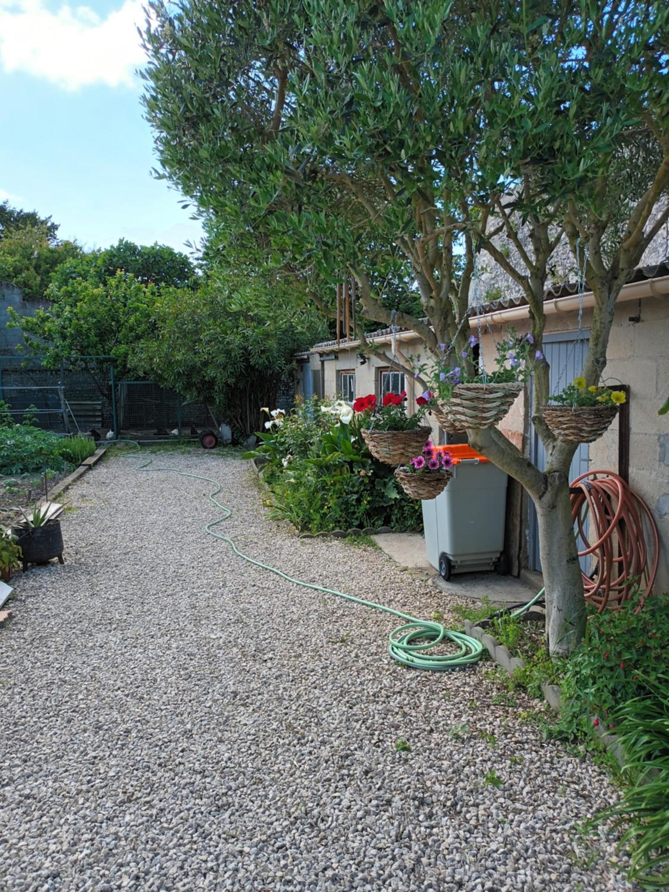 Forestier, photo 11