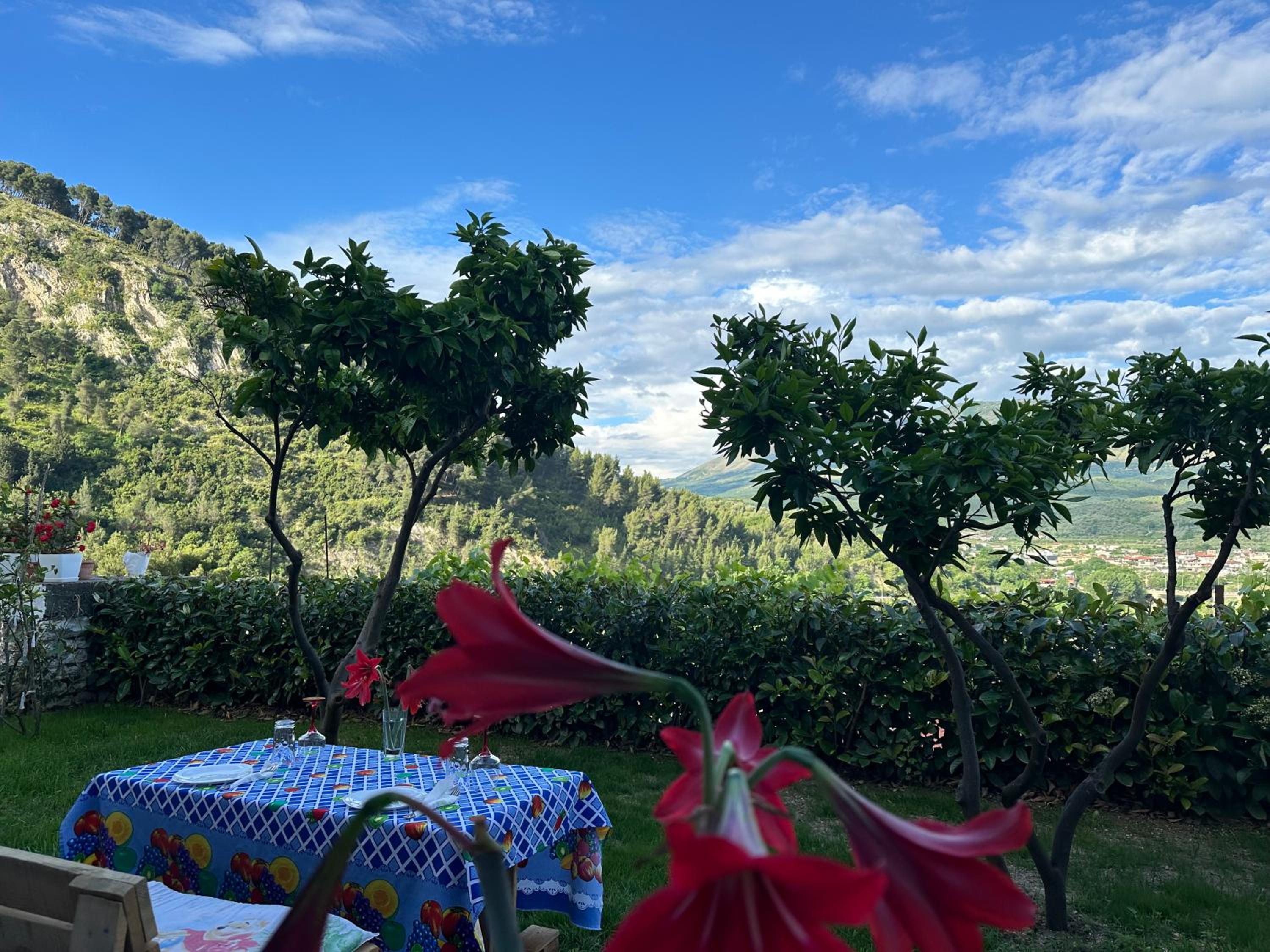 Hotel Villa Edis