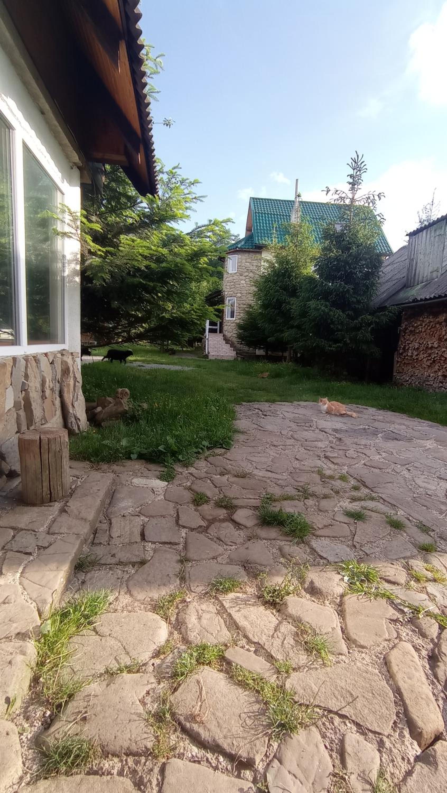 Photo 8