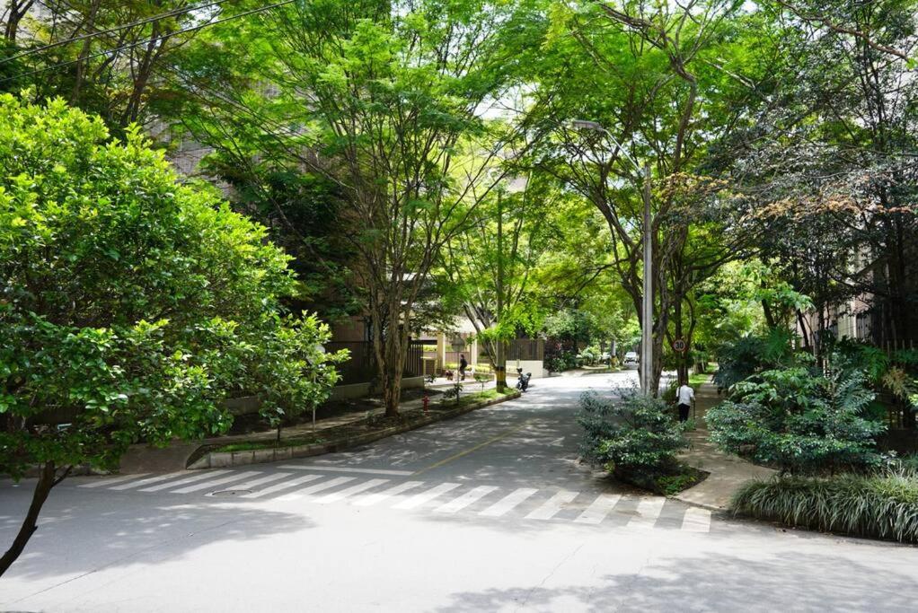 apartamento eterna primavera