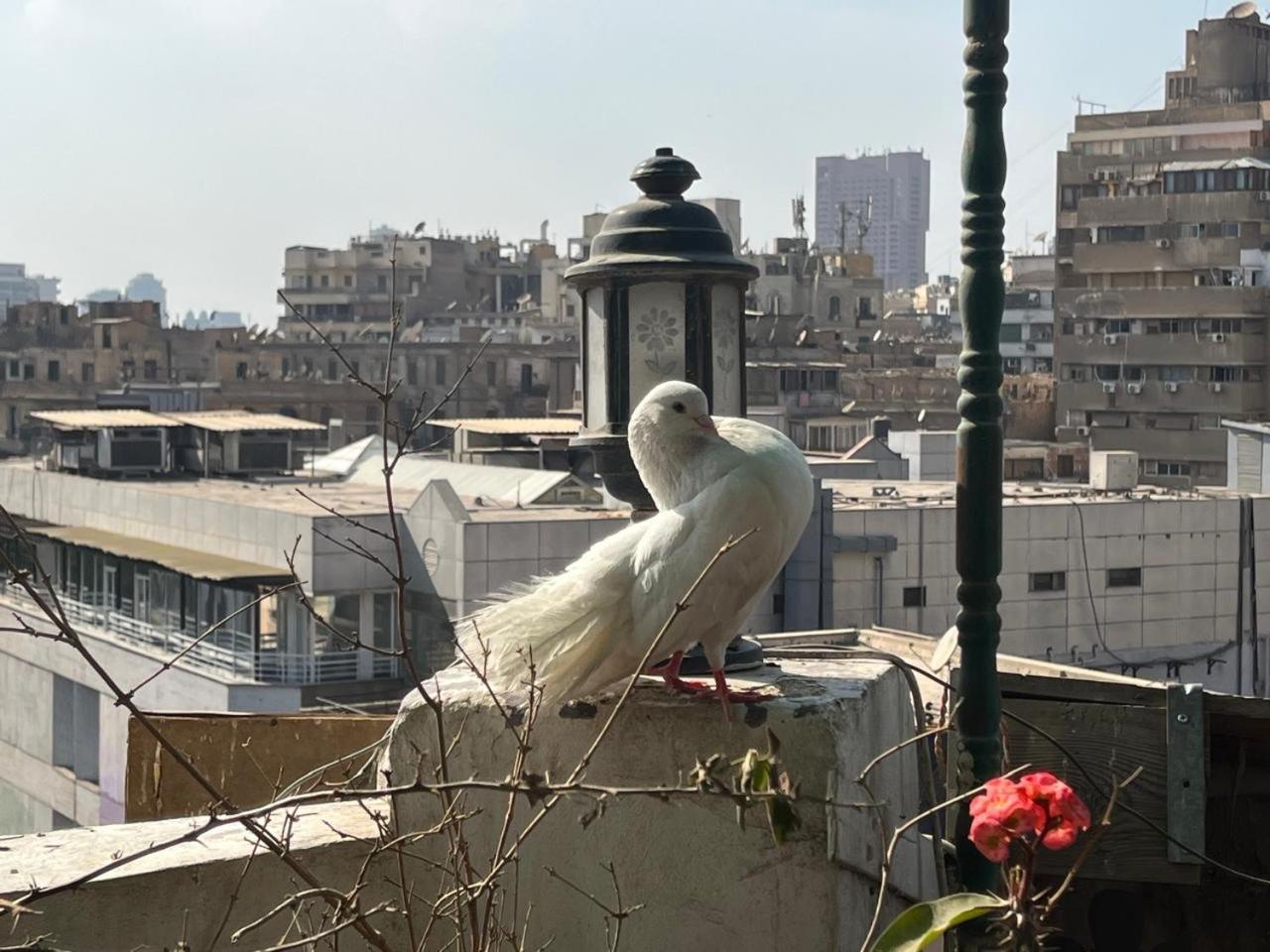 Cecilia Hostel