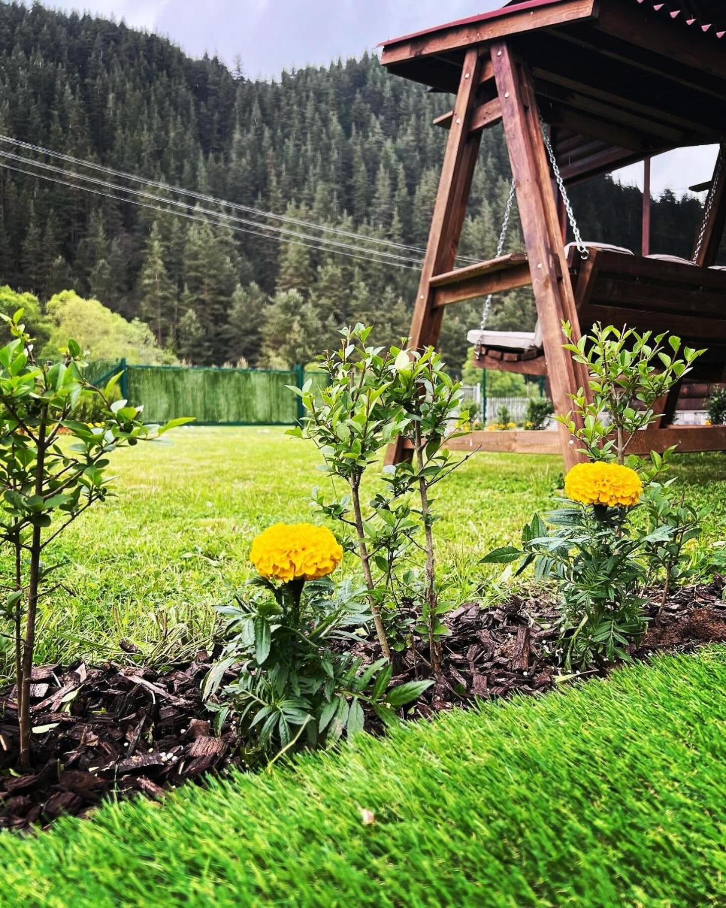 Guest House Recharge