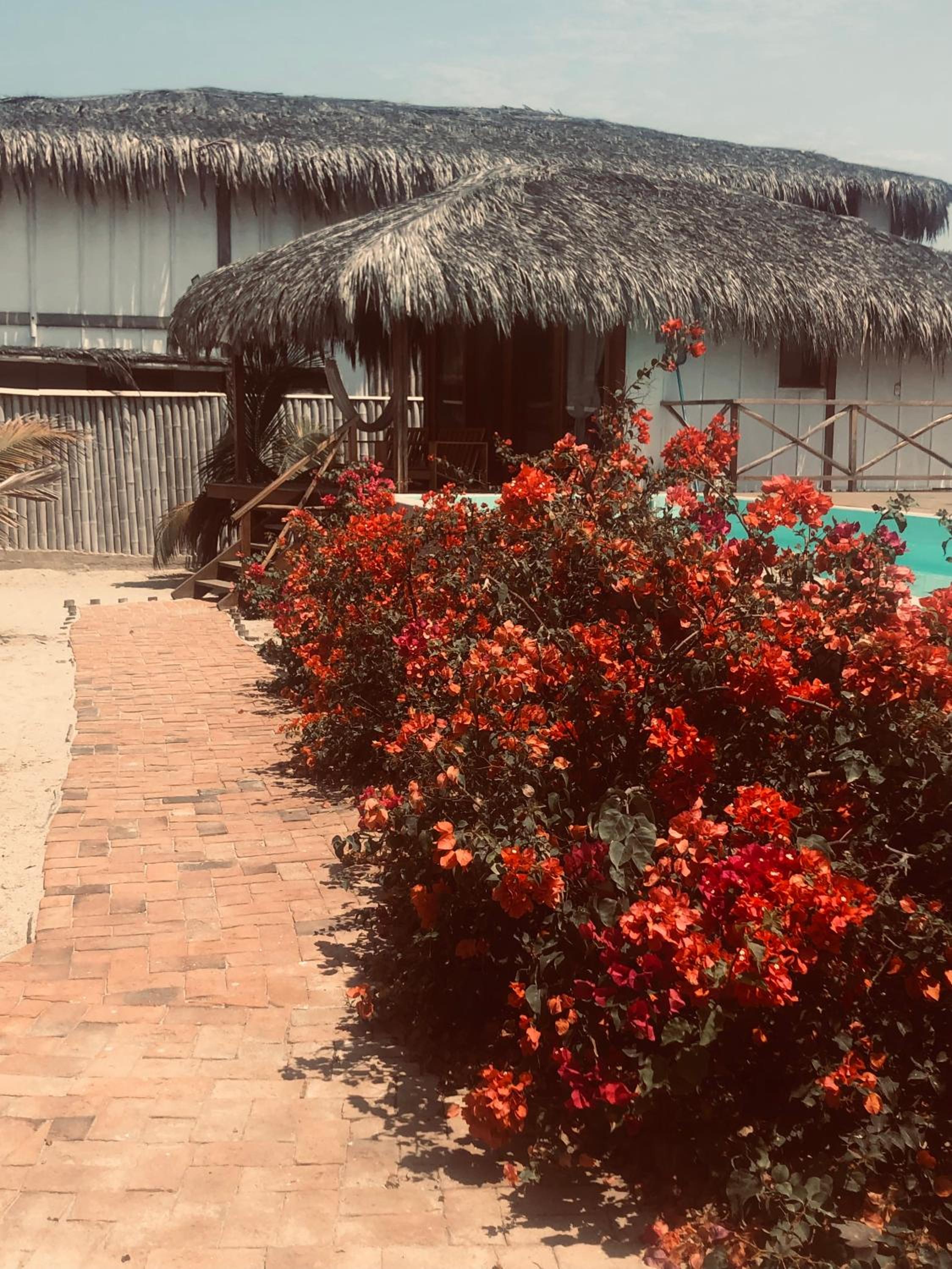 Casa Mar