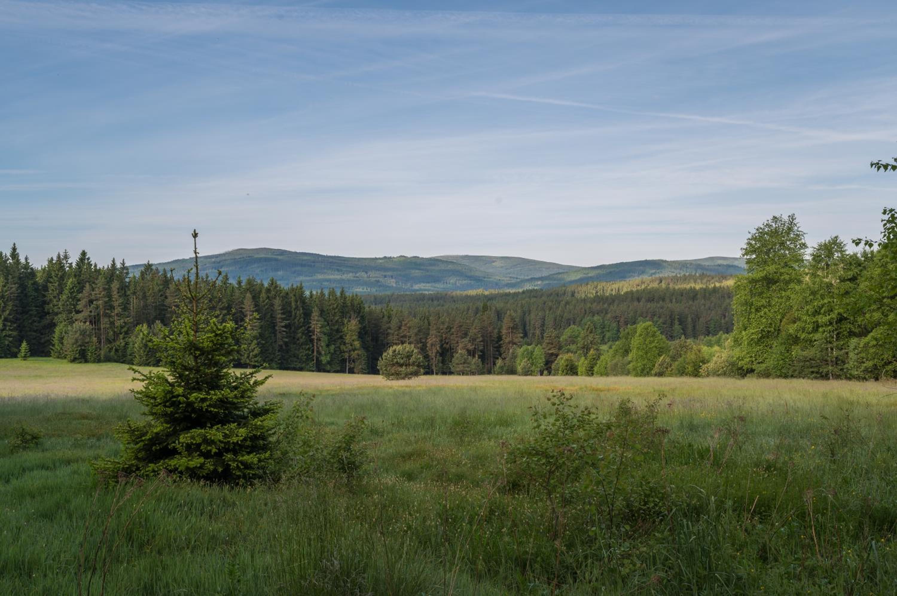 Pension Arberwald