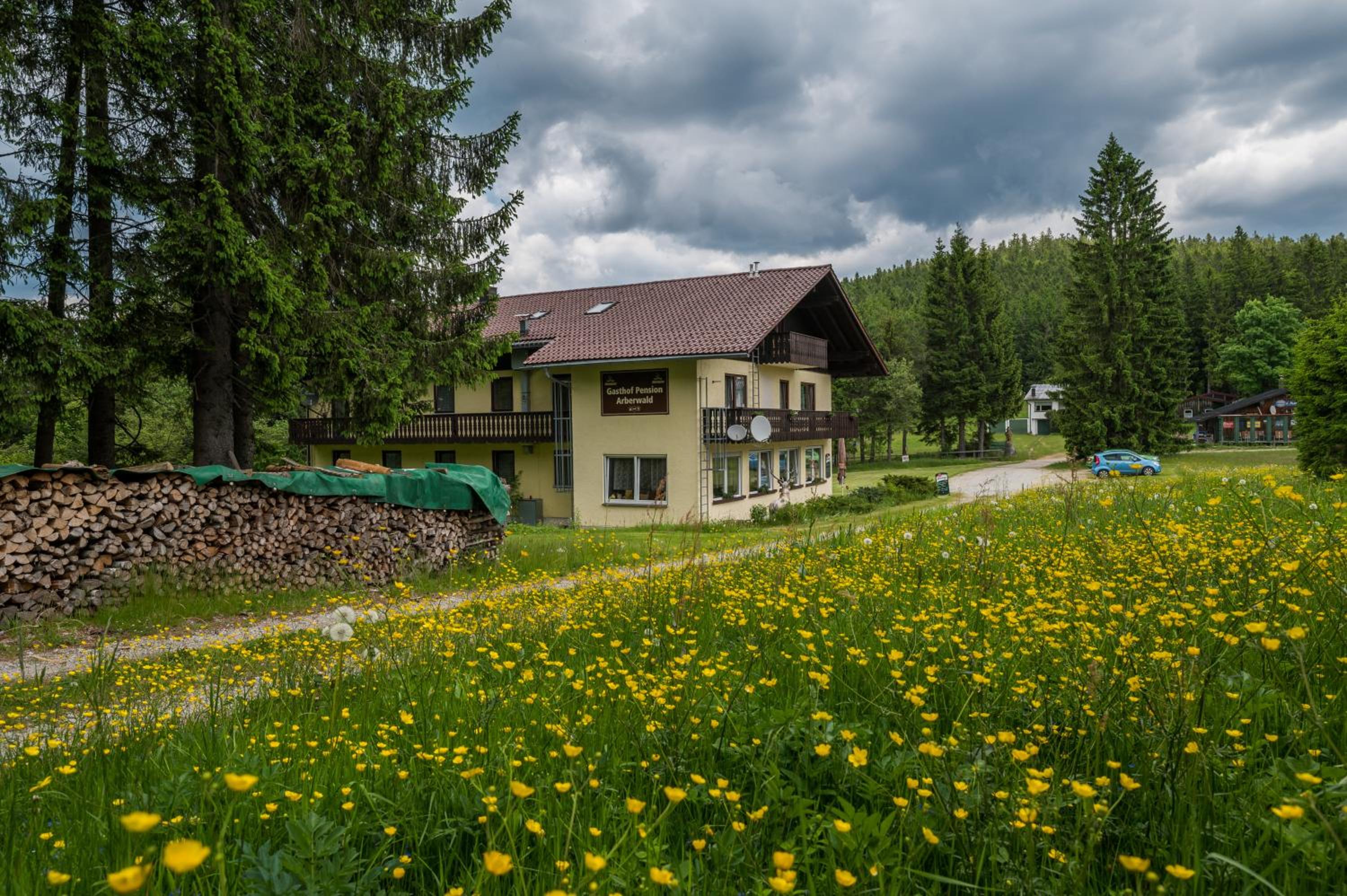 Pension Arberwald