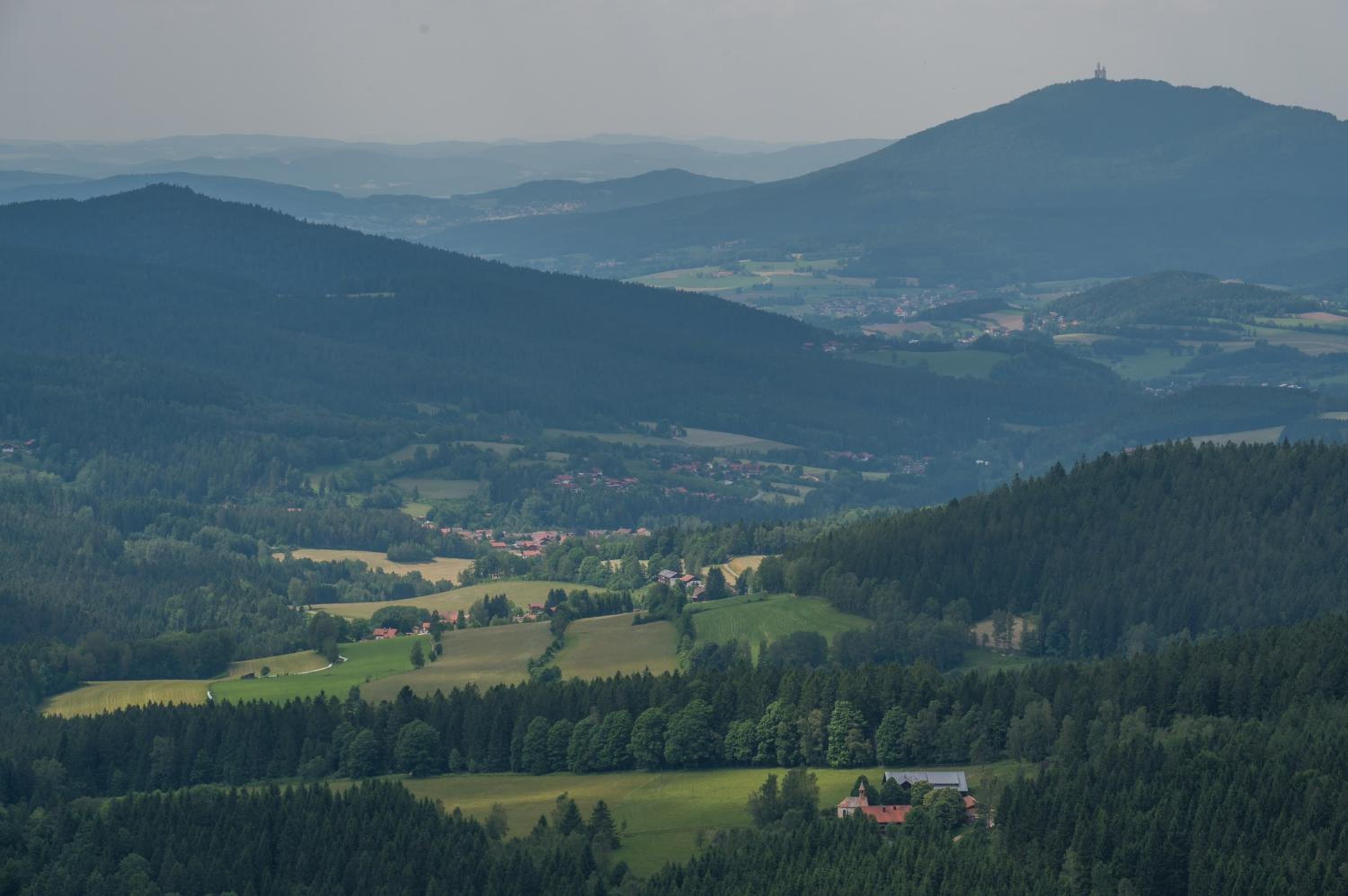 Pension Arberwald