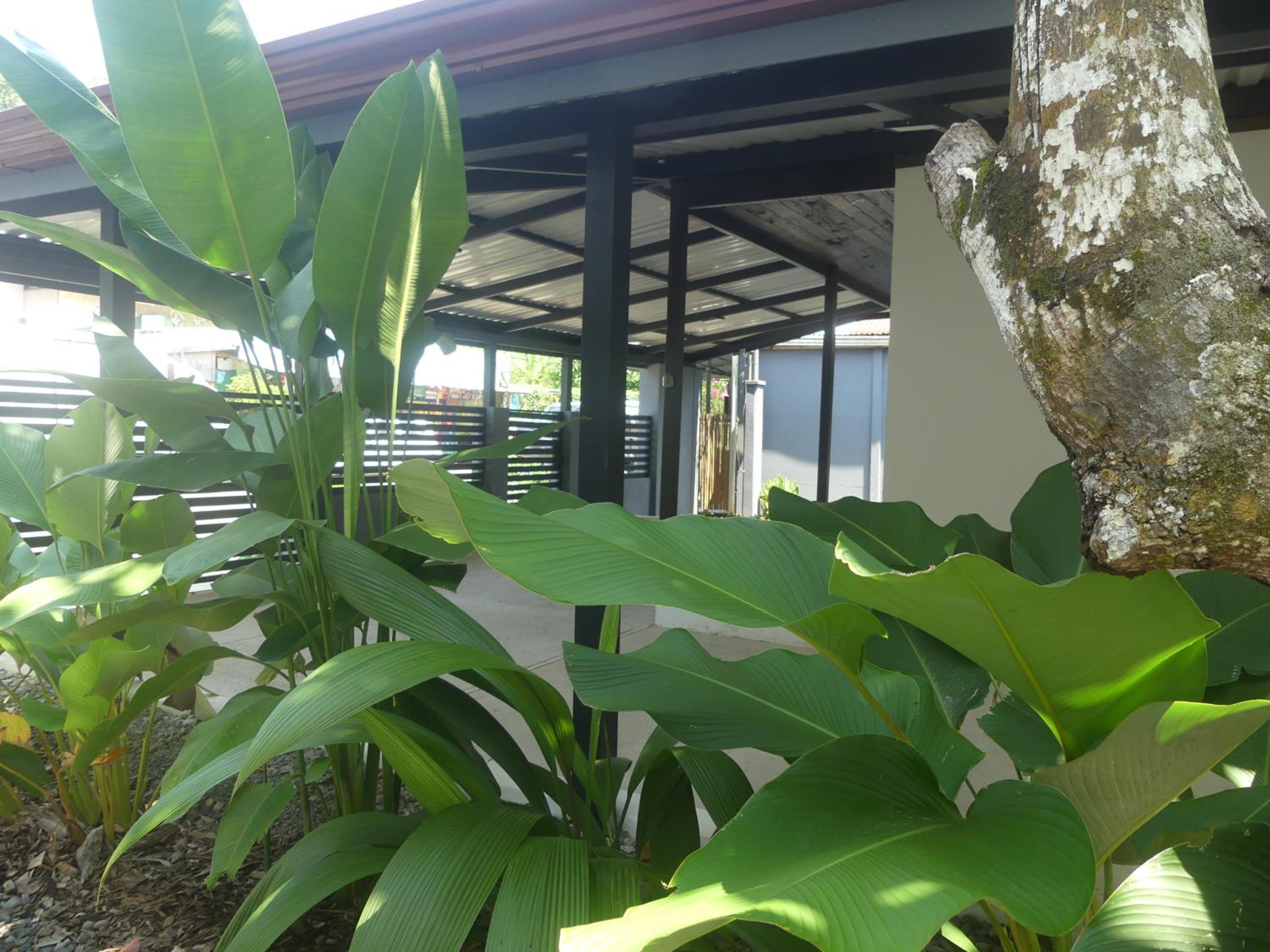Surf Villas of Dominicalito Bay