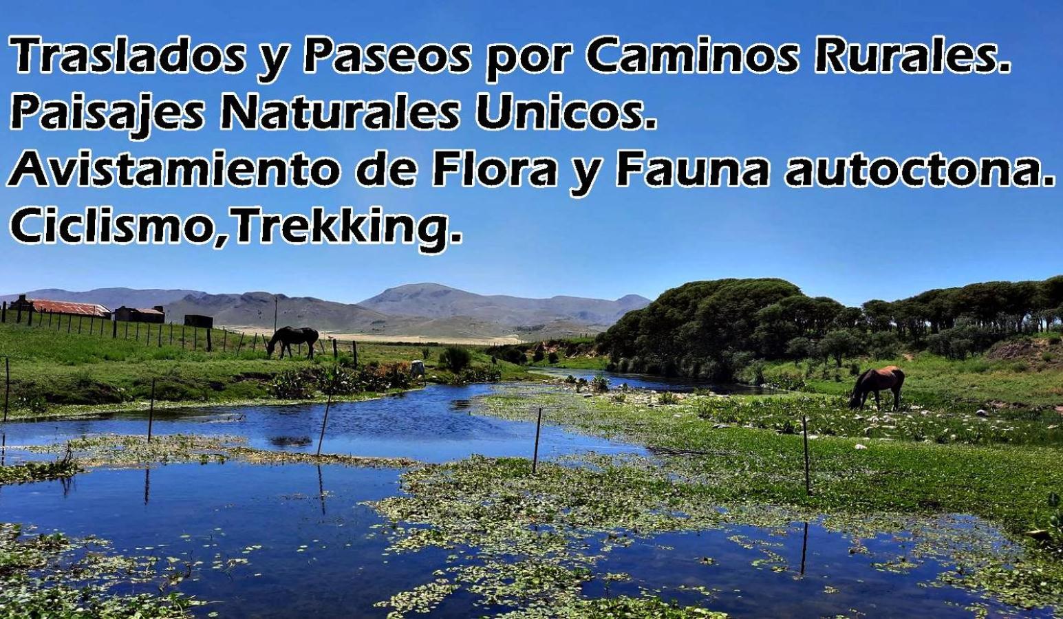 Lo de la Nercida
