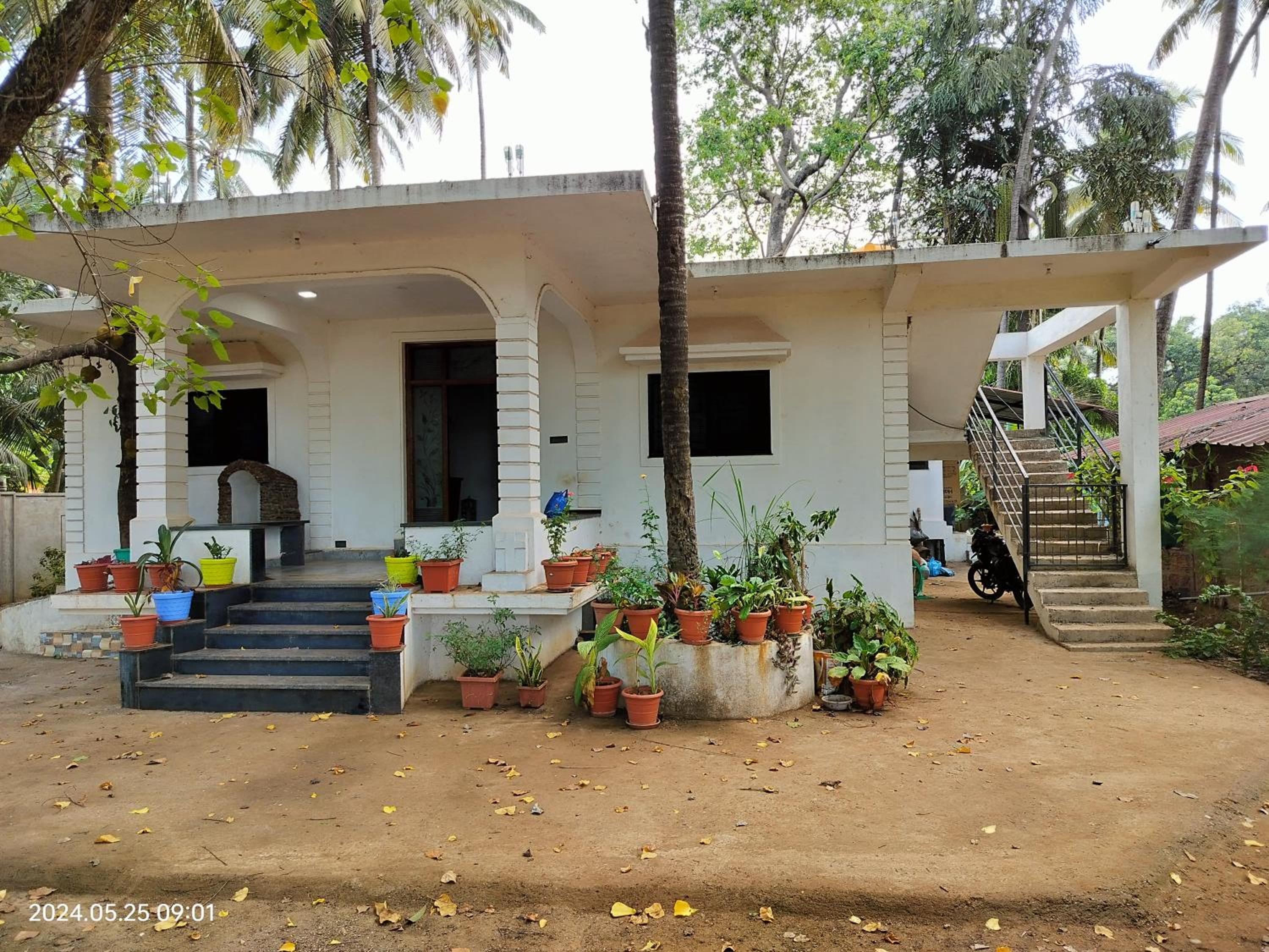 White House Morjim