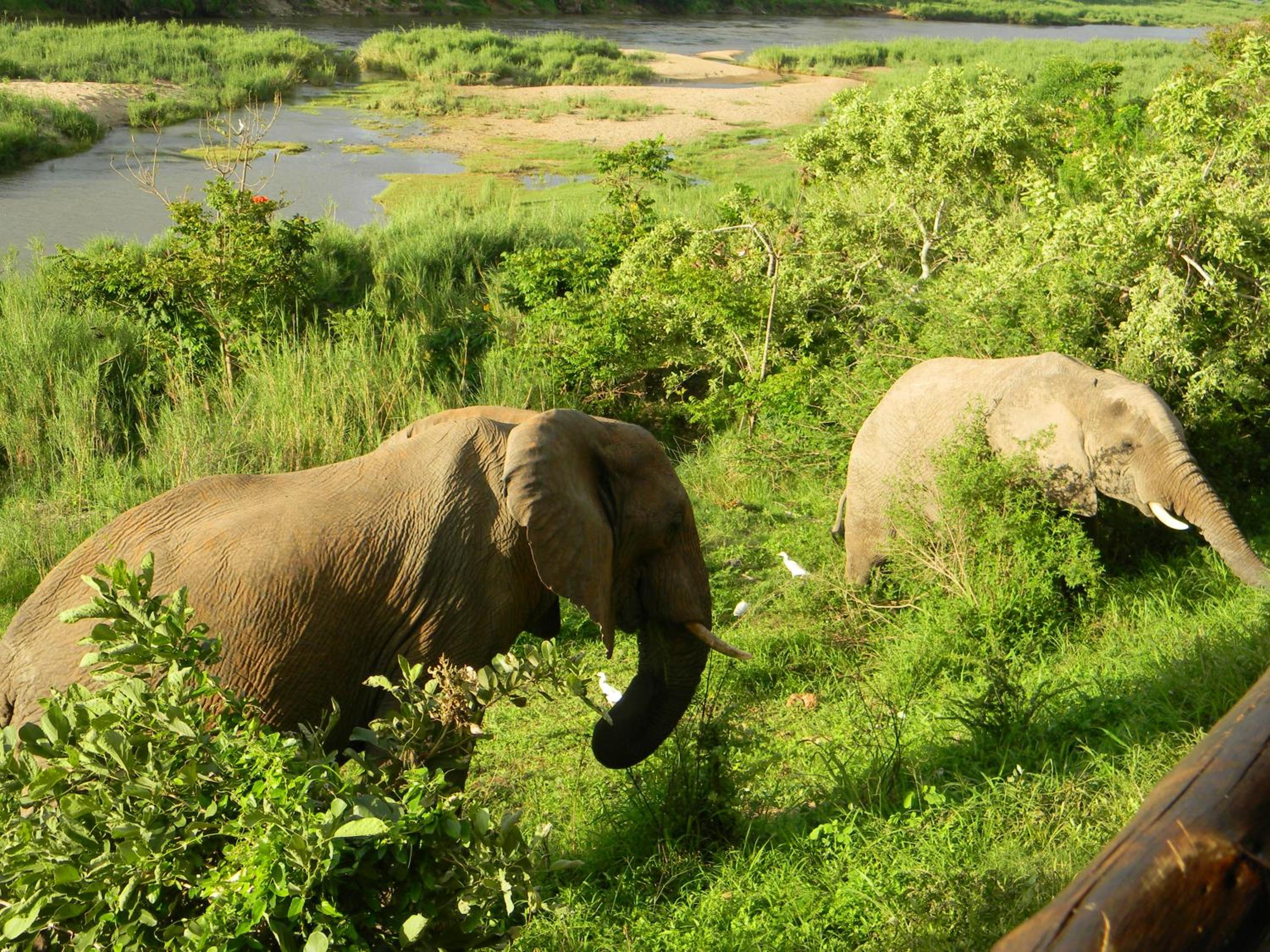 Kruger View Chalets