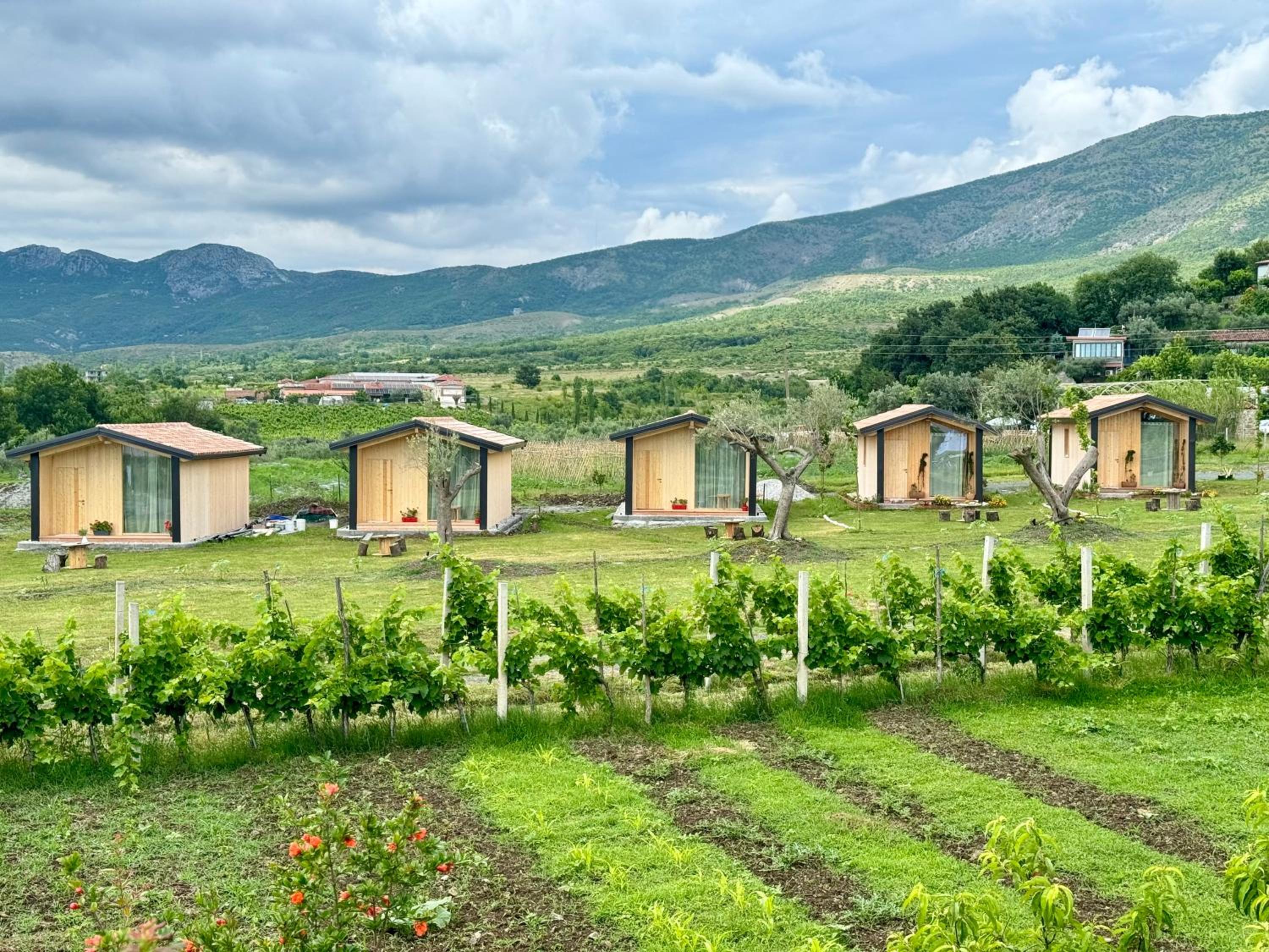 Fishta Guesthouse - Mrizi i Zanave