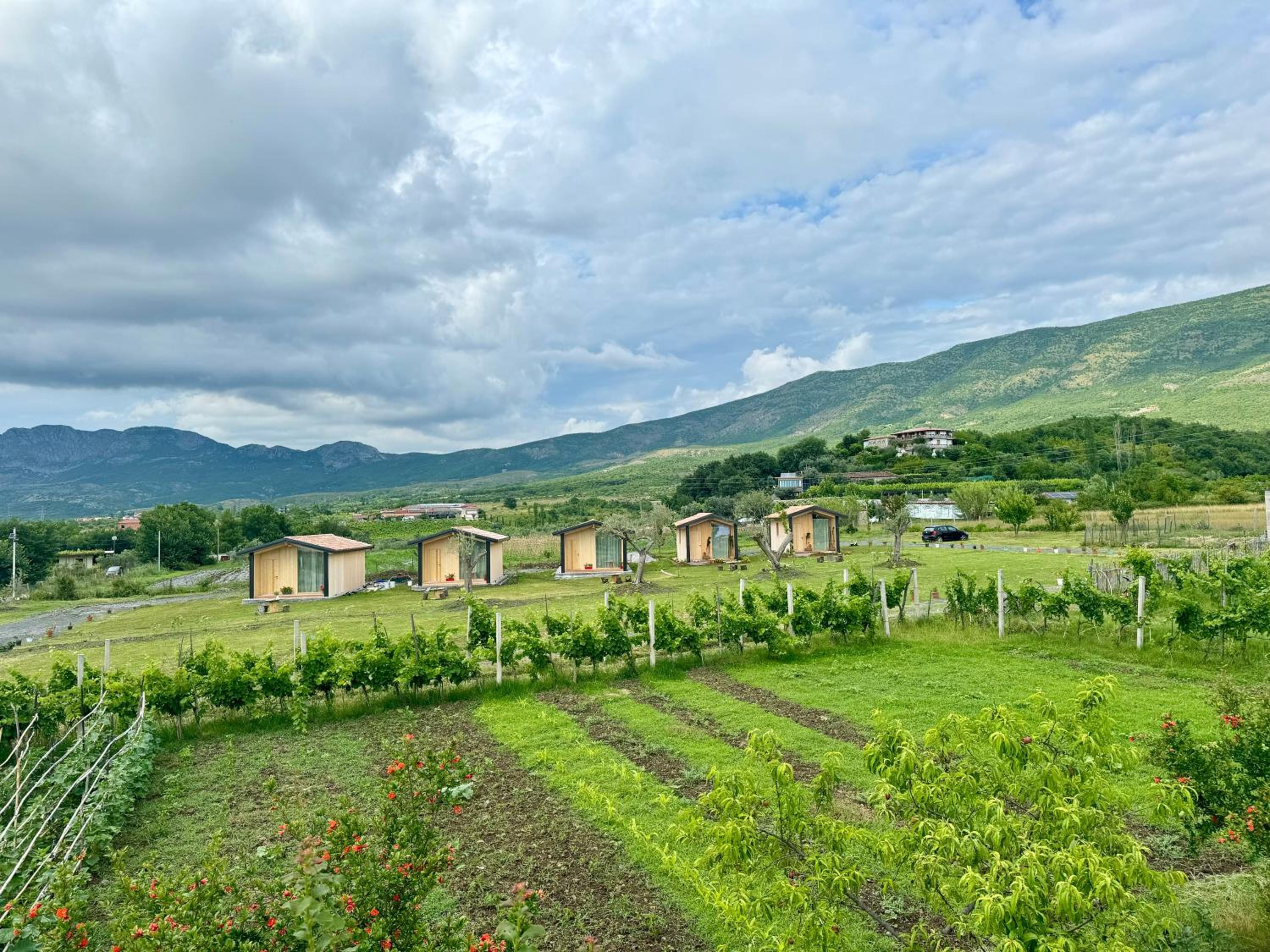 Fishta Guesthouse - Mrizi i Zanave