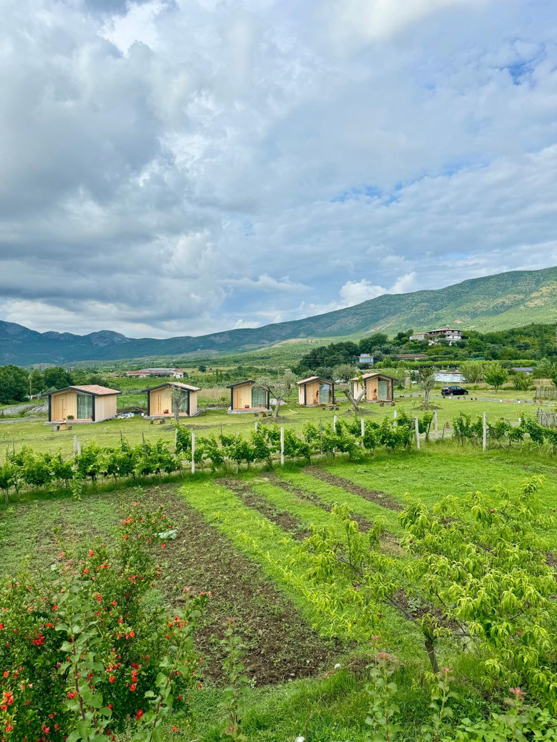 Fishta Guesthouse - Mrizi i Zanave